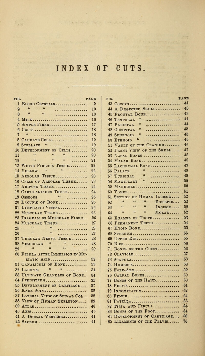 INDEX OF CUTS 87 PAGE Blood Cetstals 9 10   13 Milk r 16 Simple Fiber 17 Cells 18  18 Cattdate Cells 19 Stellate  19 Development of Cells 20  20    21 White Fibrous Tissue 22 Yellow   22 Areolar Tissue 23 Cells of Areolae Tissue 23 Adipose Tissue 24 Cartilaginous Tissue 24 Osseous  25 Lacuna of Bone 25 Lymphatic Vessel 26 Muscular Tissue 26 Diagram op Muscular Fibril.. 26 Muscular Tissue 27  2T  27 Tubular Nerve Tissue 28 Vesicular   28    29 Fibula after Immersion in Mu- riatic Acid 32 Canaliculi of Bone 83 Lacuna   34 Ultimate Granules of Bone.. 34 Periosteum 85 Development of Cartilage ... 87 Knee Joint 88 Lateral View of Spinal Col.. 88 View of HuMA^f Skeleton 89 Atlas 40 AxTS 43 A Doesal Vertebea 41 Sacrum 41 PA<JB Coccyx 41 A Dissected Skull 43 Frontal Bone 43 Temporal  44 Parietal  44 Occipital  45 Sphenoid  45 Ethmoid  46 Vault of the Cranium 46 Front View op the Skull .... 47 Nasal Bones 48 Malar Bone 48 Lachrymal Bone 49 Palate  49 TURBINAL  49 Maxillary  60 Mandible 50 Vomer 51 Section of Human Incisor 53    Bicuspid.... 52    Incisor .... 52    Molar 52 Enamel of Tooth 53 Permanent Teeth 54 Hyoid Bone 55 Sternum 55 Upper Eib 55 Ribs 56 Bones of the Chest 56 Clavicle 57 Scapula 58 Humerus 58 Fore-Arm 59 Carpal Bones GO Bones of the Hand 60 Pelvis 61 Innominatum 63 Femur 63 Patella 65 Tibia and Fibula 64 Bones of the Foot 64 Development of Cartilage OD Ligaments of the Pelvis TO