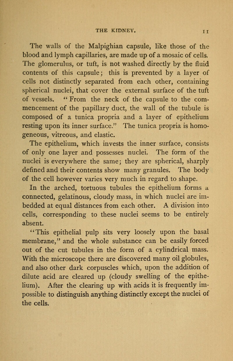 The walls of the Malpighian capsule, like those of the blood and lymph capillaries, are made up of a mosaic of cells. The glomerulus, or tuft, is not washed directly by the fluid contents of this capsule; this is prevented by a layer of cells not distinctly separated from each other, containing spherical nuclei, that cover the external surface of the tuft of vessels.  From the neck of the capsule to the com- mencement of the papillary duct, the wall of the tubule is composed of a tunica propria and a layer of epitheHum resting upon its inner surface. The tunica propria is homo- geneous, vitreous, and elastic. The epithelium, which invests the inner surface, consists of only one layer and possesses nuclei. The form of the nuclei is everywhere the same; they are spherical, sharply defined and their contents show many granules. The body of the cell however varies very much in regard to shape. In the arched, tortuous tubules the epithelium forms a connected, gelatinous, cloudy mass, in which nuclei are im- bedded at equal distances from each other. A division into cells, corresponding to these nuclei seems to be entirely absent. This epithelial pulp sits very loosely upon the basal membrane, and the whole substance can be easily forced out of the cut tubules in the form of a cylindrical mass. With the microscope there are discovered many oil globules, and also other dark corpuscles which, upon the addition of dilute acid are cleared up (cloudy swelling of the epithe- lium). After the clearing up with acids it is frequently im- possible to distinguish anything distinctly except the nuclei of the cells.