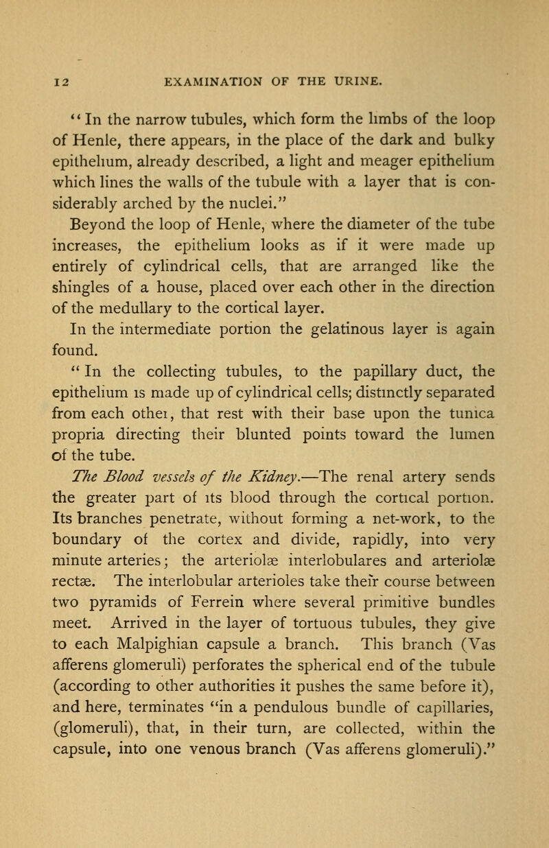 ** In the narrow tubules, which form the hmbs of the loop of Henie, there appears, in the place of the dark and bulky epithelium, already described, a light and meager epithelium which lines the walls of the tubule with a layer that is con- siderably arched by the nuclei. Beyond the loop of Henle, where the diameter of the tube increases, the epithelium looks as if it were made up entirely of cylindrical cells, that are arranged like the shingles of a house, placed over each other in the direction of the medullary to the cortical layer. In the intermediate portion the gelatinous layer is again found. *' In the collecting tubules, to the papillary duct, the epitheHum is made up of cylindrical cells; distinctly separated from each othei, that rest with their base upon the tunica propria directing their blunted points toward the lumen of the tube. The Blood vessels of the Kidney.—The renal artery sends the greater part of its blood through the cortical portion. Its branches penetrate, without forming a net-work, to the boundary of the cortex and divide, rapidly, into very minute arteries; the arteriolas interlobulares and arteriole rectae. The interlobular arterioles take their course between two pyramids of Ferrein where several primitive bundles meet. Arrived in the layer of tortuous tubules, they give to each Malpighian capsule a branch. This branch (Vas afferens glomeruli) perforates the spherical end of the tubule (according to other authorities it pushes the same before it), and here, terminates *'in a pendulous bundle of capillaries, (glomeruli), that, in their turn, are collected, within the capsule, into one venous branch (Vas afferens glomeruli).