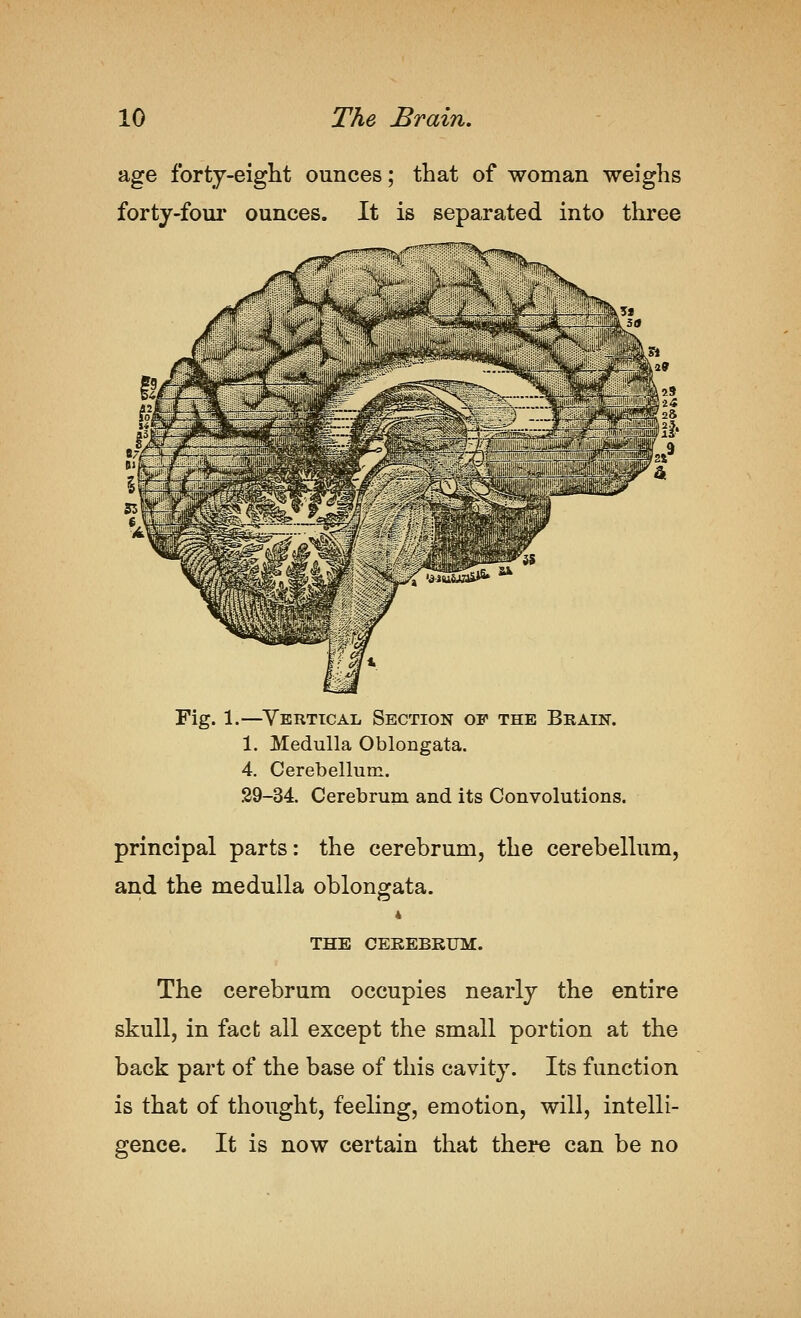 age fortj-eight ounces; that of woman weighs forty-foui* ounces. It is separated into three Fig. 1.—Vertical Section of the Brain. 1. Medulla Oblongata. 4. Cerebellum. 29-34. Cerebrum and its Convolutions. principal parts: the cerebrum, the cerebeUum, and the medulla oblongata. 4 THE CEEEBKUM. The cerebrum occupies nearly the entire skull, in fact all except the small portion at the back part of the base of this cavity. Its function is that of thought, feeling, emotion, will, intelli- gence. It is now certain that there can be no