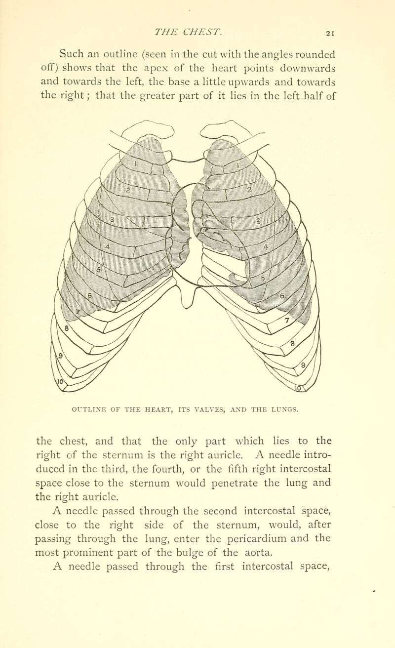 Such an outline (seen in the cut with the angles rounded off) shows that the apex of the heart points downwards and towards the left, the base a little upwards and towards that the greater part of it lies in the left half of the right OUTLINE OF THE HEART, ITS VALVES, AND THE LUNGS. the chest, and that the only part which lies to the right of the sternum is the right auricle. A needle intro- duced in the third, the fourth, or the fifth right intercostal space close to the sternum would penetrate the lung and the right auricle. A needle passed through the second intercostal space, close to the right side of the sternum, would, after passing through the lung, enter the pericardium and the most prominent part of the bulge of the aorta. A needle passed through the first intercostal space,
