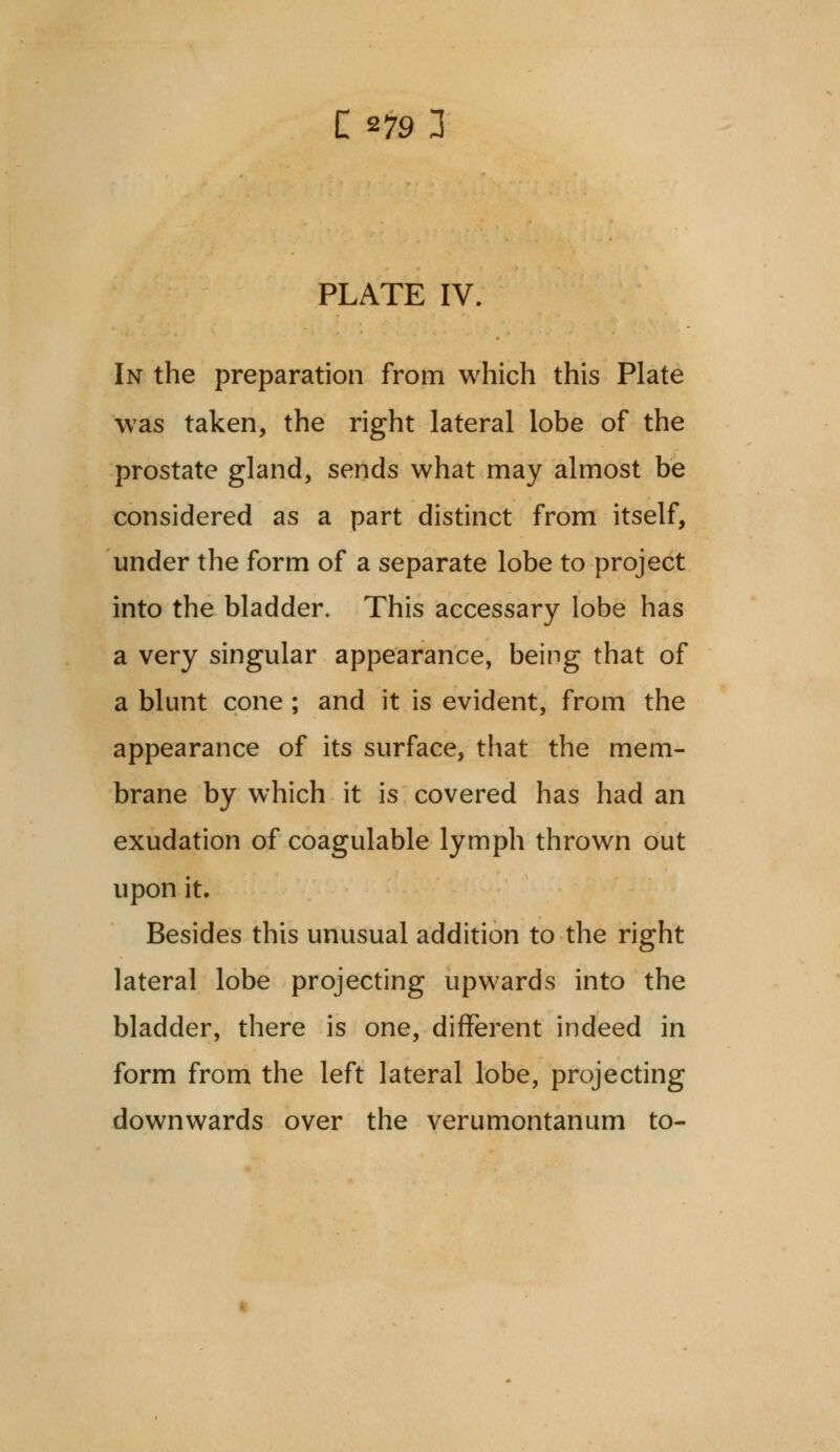 PLATE IV. In the preparation from which this Plate was taken, the right lateral lobe of the prostate gland, sends what may almost be considered as a part distinct from itself, under the form of a separate lobe to project into the bladder. This accessary lobe has a very singular appearance, being that of a blunt cone ; and it is evident, from the appearance of its surface, that the mem- brane by which it is covered has had an exudation of coagulable lymph thrown out upon it. Besides this unusual addition to the right lateral lobe projecting upwards into the bladder, there is one, different indeed in form from the left lateral lobe, projecting downwards over the verumontanum to-