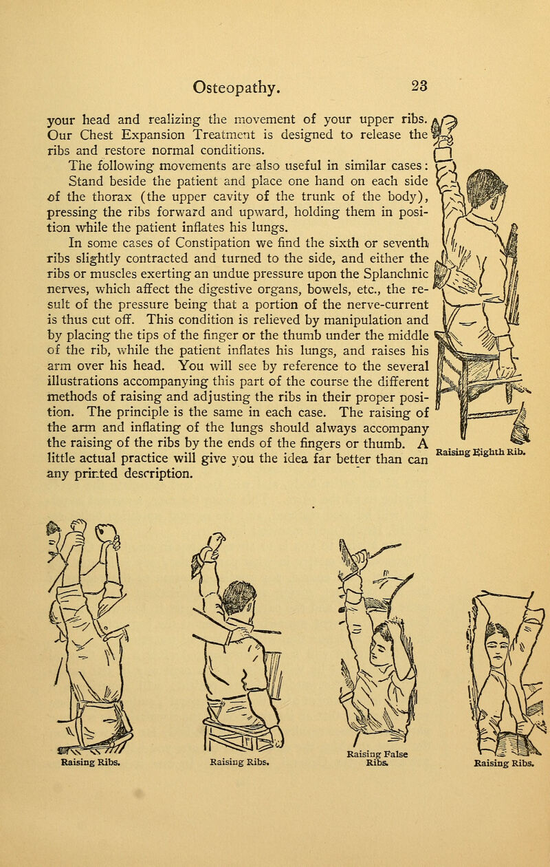your head and realizing the movement of your upper ribs. Our Chest Expansion Treatment is designed to release the ribs and restore normal conditions. The following movements are also useful in similar cases: Stand beside the patient and place one hand on each side of the thorax (the upper cavity of the trunk of the body), pressing the ribs forward and upward, holding them in posi- tion while the patient inflates his lungs. In some cases of Constipation we find the sixth or seventh ribs slightly contracted and turned to the side, and either the ribs or muscles exerting an undue pressure upon the Splanchnic nerves, which affect the digestive organs, bowels, etc., the re- sult of the pressure being that a portion of the nerve-current is thus cut off. This condition is relieved by manipulation and by placing the tips of the finger or the thumb under the middle of the rib, while the patient inflates his lungs, and raises his arm over his head. You will see by reference to the several illustrations accompanying this part of the course the different methods of raising and adjusting the ribs in their proper posi- tion. The principle is the same in each case. The raising of the arm and inflating of the lungs should always accompany the raising of the ribs by the ends of the fingers or thumb. A little actual practice will give you the idea far better than can any printed description. Raising Sighth Rib. Raising Ribs. Raising False Ribs. Raising Ribs.