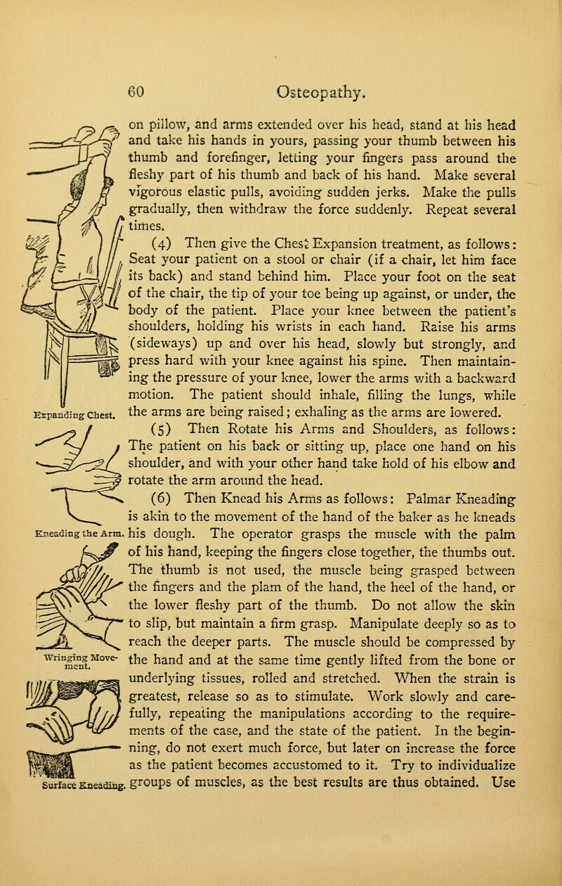 on pillow, and arms extended over his head, stand at his head (' and take his hands in yours, passing your thumb between his thumb and forefinger, letting your fingers pass around the fleshy part of his thumb and back of his hand. Make several vFgorous elastic pulls, avoiding sudden jerks. Make the pulls gradually, then withdraw the force suddenly. Repeat several times. (4) Then give the Chest Expansion treatment, as follows: Seat your patient on a stool or chair (if a chair, let him face its back) and stand behind him. Place your foot on the seat of the chair, the tip of your toe being up against, or under, the body of the patient. Place your knee between the patient's shoulders, holding his wrists in each hand. Raise his arms (sideways) up and over his head, slowly but strongly, and press hard v/ith your knee against his spine. Then maintain- ing the pressure of your knee, lower the arms v/ith a backward motion. The patient should inhale, filling the lungs, -while the arms are being raised; exhaling as the arms are lowered. (5) Then Rotate his Arms and Shoulders, as follows: The patient on his back or sitting up, place one hand on his shoulder, and with your other hand take hold of his elbow and rotate the arm around the head. (6) Then Knead his Arms as follows: Palmar Kneadiiig is akin to the movement of the hand of the baker as he laieads Eaeading the Arm. his dough. The Operator grasps the muscle with the palm of his hand, keeping the fingers close together, the thumbs out. The thumb is not used, the muscle being grasped between the fingers and the plam of the hand, the heel of the hand, or the lower fleshy part of the thumb. Do not allow the skin to slip, but maintain a firm grasp. Manipulate deeply so as to reach the deeper parts. The muscle should be compressed by the hand and at the same time gently lifted from the bone or underlying tissues, rolled and stretched. V/hen the strain is greatest, release so as to stimulate. Work slov/ly and care- fully, repealing the m.anipulations according to the require- ments of the case, and the state of the patient. In the begin- ning, do not exert much force, but later on increase the force as the patient becomes accustomed to it. Try to individualize surfc^ Kneading, g^oups of muscles, as the best results are thus obtained. Use Wringing Move- ment.