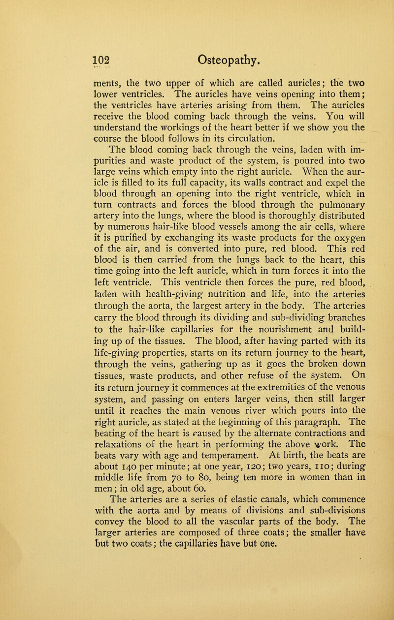 ments, the two upper of which are called auricles; the two lower ventricles. The auricles have veins opening into them; the ventricles have arteries arising from them. The auricles receive the blood coming back through the veins. You will understand the workings of the heart better if we show you the course the blood follows in its circulation. The blood coming back through the veins, laden with im- purities and waste product of the system, is poured into two large veins which empty into the right auricle. When the aur- icle is filled to its full capacity, its walls contract and expel the blood through an opening into the right ventricle, which in turn contracts and forces the blood through the pulmonary artery into the lungs, where the blood is thoroughly distributed by numerous hair-like blood vessels among the air cells, where it is purified by exchanging its waste products for the oxygen of the air, and is converted into pure, red blood. This red blood is then carried from the lungs back to the heart, this time going into the left auricle, which in turn forces it into the left ventricle. This ventricle then forces the pure, red blood, laden with health-giving nutrition and life, into the arteries through the aorta, the largest artery in the body. The arteries carry the blood through its dividing and sub-dividing branches to the hair-like capillaries for the nourishment and build- ing up of the tissues. The blood, after having parted with its life-giving properties, starts on its return journey to the heart, through the veins, gathering up as it goes the broken down tissues, waste products, and other refuse of the system. On its return journey it commences at the extremities of the venous system, and passing on enters larger veins, then still larger until it reaches the main venous river which pours into the right auricle, as stated at the beginning of this paragraph. The beating of the heart is raused by the alternate contractions and relaxations of the heart in perfonning the above work. The beats vary with ag;e and temperament. At birth, the beats are about 140 per minute; at one year, 120; two years, no; during middle life from 70 to 80, being ten more in women than in men; in old age, about 60. The arteries are a series of elastic canals, which commence with the aorta and by means of divisions and sub-divisions convey the blood to all the vascular parts of the body. The larger arteries are composed of three coats; the smaller have but two coats; the capillaries have but one.