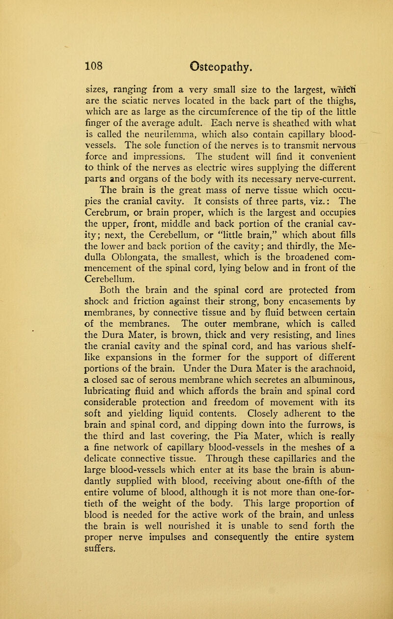 sizes, ranging from a very small size to the largest, wriiclfi are the sciatic nerves located in the back part of the thighs, which are as large as the circumference of the tip of the little finger of the average adult. Each nerve is sheathed with what is called the neurilemma, which also contain capillary blood- vessels. The sole function of the nerves is to transmit nervous force and impressions. The student will find it convenient to think of the nerves as electric wires supplying the different parts and organs of the body with its necessary nerve-current. The brain is the great mass of nerve tissue which occu- pies the cranial cavity. It consists of three parts, viz.: The Cerebrum, or brain proper, which is the largest and occupies the upper, front, middle and back portion of the cranial cav- ity; next, the Cerebellum, or little brain, which about fills the lower and back portion of the cavity; and thirdly, the Me- dulla Oblongata, the smallest, which is the broadened com- mencement of the spinal cord, lying below and in front of the Cerebellum. Both the brain and the spinal cord are protected from shock and friction against their strong, bony encasements by membranes, by connective tissue and by fluid between certain of the membranes. The outer membrane, which is called the Dura Mater, is brown, thick and very resisting, aiid lines the cranial cavity and the spinal cord, and has various shelf- like expansions in the former for the support of different portions of the brain. Under the Dura Mater is the arachnoid, a closed sac of serous membrane which secretes an albuminous, lubricating fluid and which affords the brain and spinal cord considerable protection and freedom of movement with its soft and yielding liquid contents. Closely adherent to the brain and spinal cord, and dipping down into the furrows, is the third and last covering, the Pia Mater, which is really a fine network of capillary blood-vessels in the meshes of a delicate connective tissue. Through these capillaries and the large blood-vessels which enter at its base the brain is abun- dantly supplied with blood, receiving about one-fifth of the entire volume of blood, although it is not more than one-for- tieth of the weight of the body. This large proportion of blood is needed for the active work of the brain, and unless the brain is well nourished it is unable to send forth the proper nerve impulses and consequently the entire system suffers.