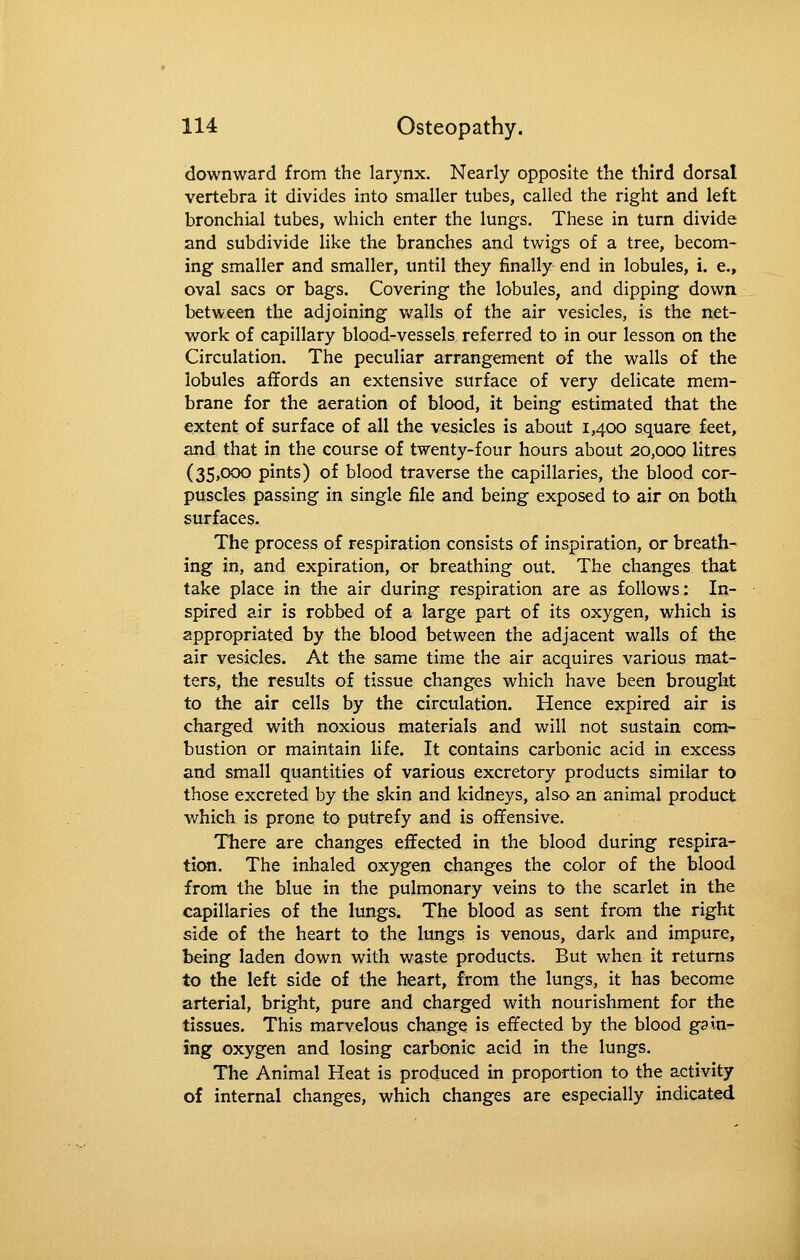 downward from the larynx. Nearly opposite the third dorsal vertebra it divides into smaller tubes, called the right and left bronchial tubes, which enter the lungs. These in turn divide and subdivide like the branches and twigs of a tree, becom- ing smaller and smaller, until they finally end in lobules, i. e., oval sacs or bags. Covering the lobules, and dipping down between the adjoining v»^alls of the air vesicles, is the net- work of capillary blood-vessels referred to in our lesson on the Circulation. The peculiar arrangement of the walls of the lobules affords an extensive surface of very delicate mem- brane for the aeration of blood, it being estimated that the extent of surface of all the vesicles is about 1,400 square feet, and that in the course of twenty-four hours about 20,000 litres (35,000 pints) of blood traverse the capillaries, the blood cor- puscles passing in single file and being exposed to air on both surfaces. The process of respiration consists of inspiration, or breath- ing in, and expiration, or breathing out. The changes that take place in the air during respiration are as follows: In- spired air is robbed of a large part of its oxygen, which is appropriated by the blood between the adjacent walls of the air vesicles. At the same time the air acquires various mat- ters, the results of tissue changes which have been brought to the air cells by the circulation. Hence expired air is charged with noxious materials and will not sustain com- bustion or maintain life. It contains carbonic acid in excess and small quantities of various excretory products similar to those excreted by the skin and kidneys, also an animal product which is prone to putrefy and is offensive. There are changes effected in the blood during respira- tion. The inhaled oxygen changes the color of the blood from the blue in the pulmonary veins to the scarlet in the capillaries of the lungs. The blood as sent from the right side of the heart to the lungs is venous, dark and impure, being laden down with waste products. But when it returns to the left side of the heart, from the lungs, it has become arterial, bright, pure and charged with nourishment for the tissues. This marvelous change is effected by the blood gain- ing oxygen and losing carbonic acid in the lungs. The Animal Heat is produced in proportion to the activity of internal changes, which changes are especially indicated