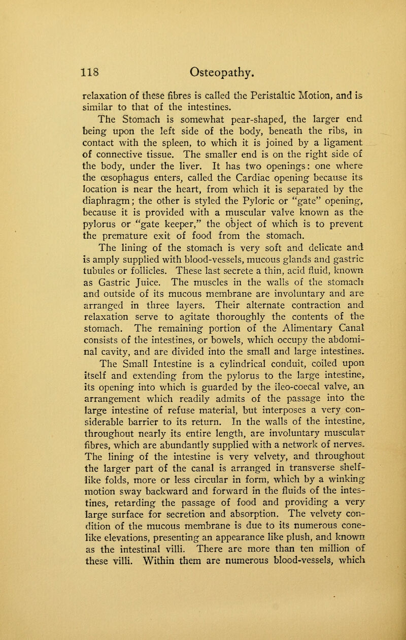relaxation of these fibres is called the Peristaltic Motion, and is similar to that of the intestines. The Stomach is somewhat pear-shaped, the larger end being upon the left side of the body, beneath the ribs, in contact with the spleen, to which it is joined by a ligament of connective tissue. The smaller end is on the right side of the body, under the liver. It has two openings: one where the oesophagus enters, called the Cardiac opening because its location is near the heart, from which it is separated by the diaphragm; the other is styled the Pyloric or gate opening, because it is provided with a muscular valve known as the pylorus or gate keeper, the object of which is to prevent the premature exit of food from the stomach. The lining of the stomach is very soft and delicate and is amply supplied with blood-vessels, mucous glands and gastric tubules or follicles. These last secrete a thin, acid fluid, known. as Gastric Juice. The muscles in the walls of the stomach and outside of its mucous membrane are involuntary and are arranged in three layers. Their alternate contraction and relaxation serve to agitate thoroughly the contents of the stomach. The remaining portion of the Alimentary Canal consists of the intestines, or bowels, which occupy the abdomi- nal cavity, and are divided into the small and large intestines. The Small Intestine is a cylindrical conduit, coiled upon itself and extending from the pylorus to the large intestine, its opening into v/hich is guarded by the ileo-coecal valve, an arrangement which readily admits of the passage into the large intestine of refuse material, but interposes a very con- siderable barrier to its return. In the walls of the intestine, throughout nearly its entire length, are involuntary muscular fibres, which are abundantly supplied with a network of nerves. The lining of the intestine is very velvety, and throughout the larger part of the canal is arranged in transverse shelf- like folds, more or less circular in form, which by a winking motion sway backward and forward in the fluids of the intes- tines, retarding the passage of food and providing a very large surface for secretion and absorption. The velvety con- dition of the mucous membrane is due to its numerous cone- like elevations, presenting an appearance like plush, and known as the intestinal villi. There are more than ten million of these villi. Within them are numerous blood-vessels, which