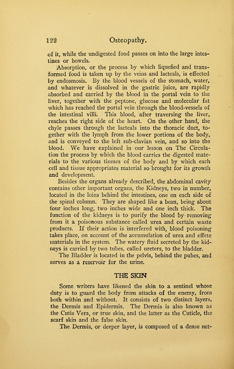 of it, while tlie undigested food passes on into the large intes- tines or bowels. Absorption, or the process by which liquefied and trans- formed food is taken up by the veins and lacteals, is effected by endosmosis. By the blood vessels of the stomach, water, and whatever is dissolved in the gastric juice, are rapidly absorbed and carried by the blood in the portal vein to the liver, together with the peptone, glucose and molecular fat which has reached the portal vein through the blood-vessels of the intestinal villi. This blood, after traversing the liver, reaches the right side of the heart. On the other hand, the chyle passes through the lacteals into the thoracic duct, to- gether with the lymph from the lower portions of the body, and is conveyed to the left sub-clavian vein, and so into the blood. We have explained in our lesson on The Circula- tion the process by which the blood carries the digested mate- rials to the various tissues of the body and by which each cell and tissue appropriates material so brought for its growth and development. Besides the organs already described, the abdominal cavity contains other important organs, the Kidneys, two in number, located in the loins behind the intestines, one on each side of the spinal column. They are shaped like a bean, being about four inches long, two inches wide and one inch thick. The function of the kidneys is to purify the blood by removing from it a poisonous substance called urea and certain waste products. If their action is interfered with, blood poisoning takes place, on account of the accumulation of urea and effete materials in the system. The v/atery fluid secreted by the kid- neys is carried by two tubes, called ureters, to the bladder. The Bladder is located in the pelvis, behind the pubes, and serves as a reservoir for the urine. THE SKIN Some writers have likened the skin to a sentinel whose duty is to guard the body from attacks of the enemy, from both within and without. It consists of two distinct layers, the Dermis and Epidermis. The Dermis is also known as the Cutis Vera, or true skin, and the latter as the Cuticle, the scarf skin and the false skin. ,The Dermis, or deeper layer, is composed of a dense net-