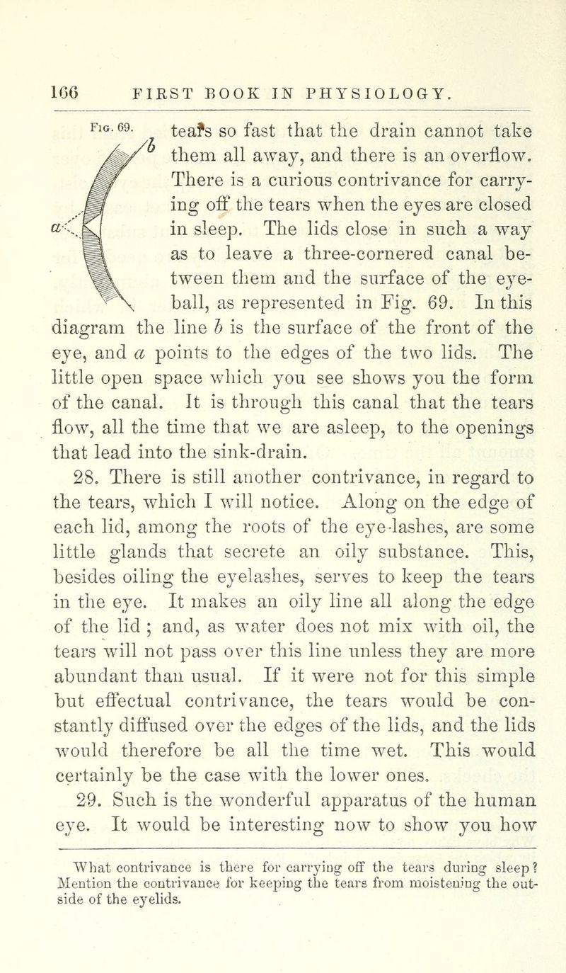 tears so fast that the drain cannot take them all away, and there is an overflow. There is a curious contrivance for carry- ing off the tears when the eyes are closed cK.jy in sleep. The lids close in such a way as to leave a three-cornered canal be- tween them and the surface of the eye- ball, as represented in Fig. 69. In this diagram the line h is the surface of the front of the eye, and a points to the edges of the two lids. The little open space which you see shows you the form of the canal. It is through this canal that the tears flow, all the time that we are asleep, to the openings that lead into the sink-drain. 28. There is still another contrivance, in regard to the tears, which I will notice. Along on the edge of each lid, among the roots of the eye-lashes, are some little glands that secrete an oily substance. This, besides oiling the eyelashes, serves to keep the tears in the eye. It makes an oily line all along the edge of the lid ; and, as water does not mix with oil, the tears will not pass over this line unless they are more abundant than usual. If it were not for this simple but effectual contrivance, the tears would be con- stantly diffused over the edges of the lids, and the lids would therefore be all the time wet. This would certainly be the case with the lower ones. 29. Such is the wonderful apparatus of the human eye. It would be interesting now to show you how What contrivance is there for carrying off the tears during sleep? Mention the contrivance for keeping the tears from moistening the out- side of the eyelids.