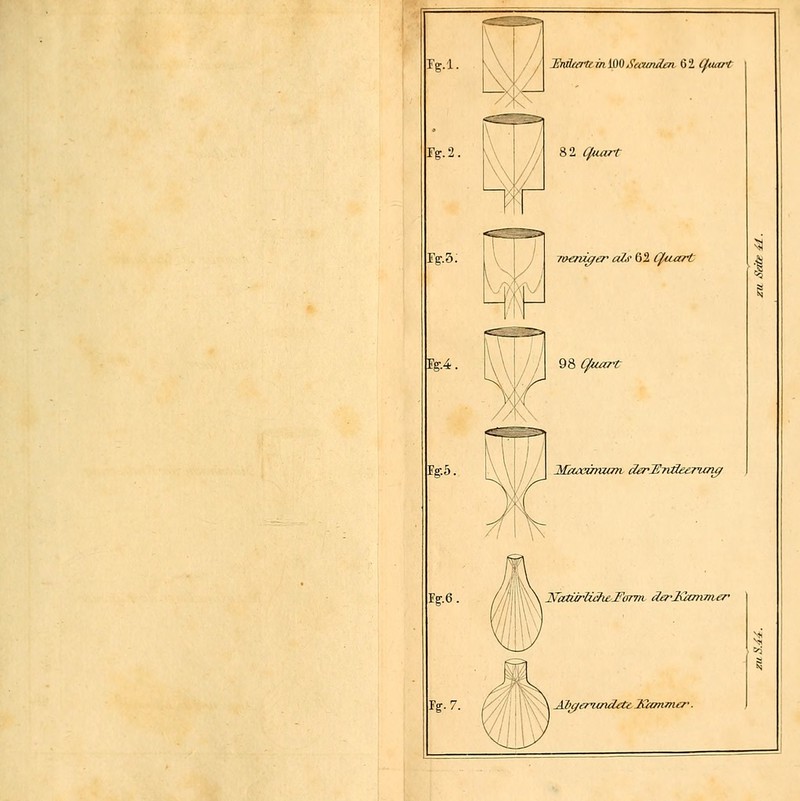 Fg.l. Fg. 1V.5. i r Unüemein 1(WScamdai 62 #W/ / // 82 <?Wr nH'/iü/t-r aZr 62 Quart m Fg-,5. 9&guart Maccäman äerÜTväeemm^ %.6. Tg. 7. yatü/iiäiLTurin rfer'luunmtr
