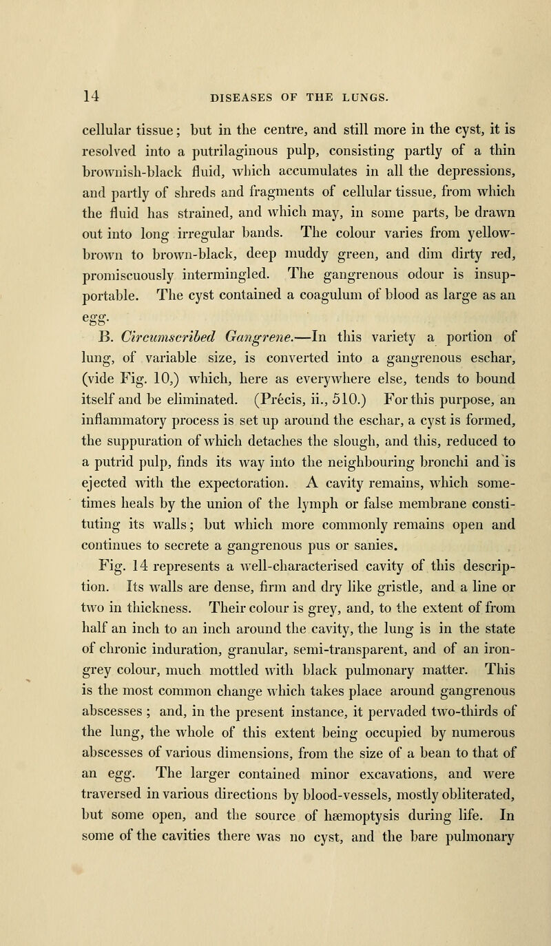 cellular tissue; but in the centre, and still more in the cyst, it is resolved into a putrilaginous pulp, consisting partly of a thin brownish-black fluid, which accumulates in all the depressions, and partly of shreds and fragments of cellular tissue, from which the fluid has strained, and which may, in some parts, be drawn out into long irregular bands. The colour varies from yellow- brown to brown-black, deep muddy green, and dim dirty red, promiscuously intermingled. The gangrenous odour is insup- portable. The cyst contained a coagulum of blood as large as an egg- B. Cii'Gumscnhed Gangrene.—In this variety a portion of lung, of variable size, is converted into a gangrenous eschar, (vide Fig. 10,) which, here as everywhere else, tends to bound itself and be eliminated. (Precis, ii., 510.) For this purpose, an inflammatory process is set up around the eschar, a cyst is formed, the suppuration of which detaches the slough, and this, reduced to a putrid pulp, finds its way into the neighbouring bronchi and is ejected with the expectoration. A cavity remains, which some- times heals by the union of the lymph or false membrane consti- tuting its walls; but which more commonly remains open and continues to secrete a gangrenous pus or sanies. Fig. 14 represents a well-characterised cavity of this descrip- tion. Its walls are dense, firm and dry like gristle, and a line or two in thickness. Their colour is grey, and, to the extent of from half an inch to an inch around the cavity, the lung is in the state of chronic induration, granular, semi-transparent, and of an iron- grey colour, much mottled with black pulmonary matter. This is the most common change which takes place around gangrenous abscesses ; and, in the present instance, it pervaded two-thirds of the lung, the whole of this extent being occupied by numerous abscesses of various dimensions, from the size of a bean to that of an egg. The larger contained minor excavations, and were traversed in various directions by blood-vessels, mostly obliterated, but some open, and the source of heemoptysis during life. In some of the cavities there was no cyst, and the bare pulmonary