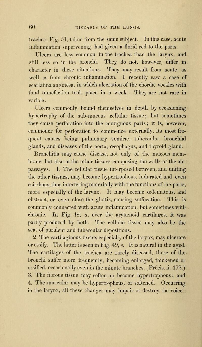 trachea, Fig. 51, taken from tlie same subject. In this case, acute inflammation supervening, had given a florid red to the parts. Ulcers are less connnon in the trachea than the larynx, and still less so in the bronchi. They do not, however, differ in character in these situations. They may result from acute, as well as from chronic inflammation. I recently saw a case of scarlatina anginosa, in which ulceration of the chordse vocales Avith fatal tumefaction took place in a week. They are not rare in variola. Ulcers commonly bound themselves in depth by occasioning hypertrophy of the sub-mucous cellular tissue; but sometimes they cause perforation into the contiguous parts; it is, however, commoner for perforation to commence externally, its most fre- quent causes being pulmonary vomicce, tubercular bronchial glands, and diseases of the aorta, oesophagus, and thyroid gland. Bronchitis may cause disease, not Only of the mucous mem- brane, but also of the other tissues composing the walls of the air- passages. 1. The cellular tissue interposed between, and uniting the other tissues, may become hypertrophous, indurated and even scirrhous, thus interfering materially with the functions of the parts, more especially of the larynx. It may become oedematous, and obstruct, or even close the glottis, causing suffocation. This is commonly connected with acute inflammation, but sometimes with chronic. In Fig. 48, «, over the arytsenoid cartilages, it was partly produced by both. The cellular tissue may also be the seat of purulent and tubercular depositions. 2. The cartilaginous tissue, especially of the larynx, may ulcerate or ossify. The latter is seen in Fig. 49, e. It is natural in the aged. The cartilages of the trachea are rarely diseased, those of the bronchi suffer more frequently, becoming enlarged, thickened or ossified, occasionally even in the minute branches. (Precis, ii. 492.) 3. The fibrous tissue may soften or become hypertrophous; and 4. The muscular may be hypertrophous, or softened. Occurring in the larynx, all these changes may impair or destroy the voice.