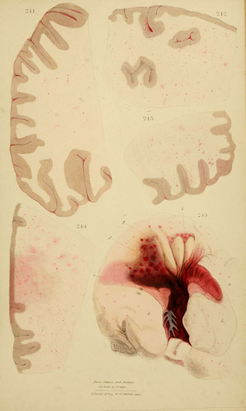 ■21 '^. '-'4 2 4.+ //. % <% /I. Oii^firi- JjiHi„,j ')<> .it. ifirrTi'nls Ztmr