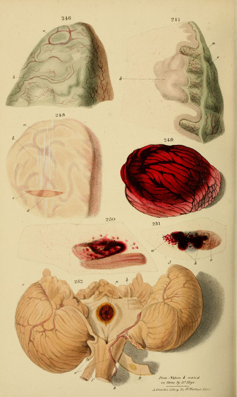 246 250 251 d.Z'ita.uit2iJ/','ff. 70, .Sf'VcrTr/is Zar