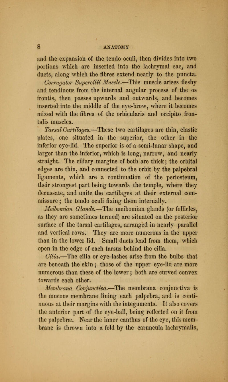 and the expansion of the tendo oculi, then divides into two portions which are inserted into the lachrymal sac, and ducts, along which the fibres extend nearly to the puncta. Corrugator Supercilii Muscle.—This muscle arises fleshy and tendinous from the internal angular process of the os frontis, then passes upwards and outwards, and becomes inserted into the middle of the eye-brow, where it becomes mixed with the fibres of the orbicularis and occipito fron- talis muscles. Tarsal Cartilages,—These two cartilages are thin, elastic plates, one situated in the superior, the other in the inferior eye-lid. The superior is of a semi-lunar shape, and larger than the inferior, which is long, narrow, and nearly straight. The ciliary margins of both are thick; the orbital edges are thin, and connected to the orbit by the palpebral ligaments, which are a continuation of the periosteum, their strongest part being towards the temple, where they decussate, and unite the cartilages at their external com- missure ; the tendo oculi fixing them internally. Meibomian Glands.—The meibomian glands (or follicles, as they are sometimes termed) are situated on the posterior surface of the tarsal cartilages, arranged in nearly parallel and vertical rows. They are more numerous in the upper than in the lower lid. Small ducts lead from them, which open in the edge of each tarsus behind the cilia. Cilia.—The cilia or eye-lashes arise from the bulbs that are beneath the skin; those of the upper eye-lid are more numerous than these of the lower; both are curved convex towards each other. Membrana Conjunctiva.—The membrana conjunctiva is the mucous membrane lining each palpebra, and is conti- nuous at their margins with the integuments. It also covers the anterior part of the eye-ball, being reflected on it from the palpebral. Near the inner canthus of the eye, this mem- brane is thrown into a fold by the caruncula lachrymalis,