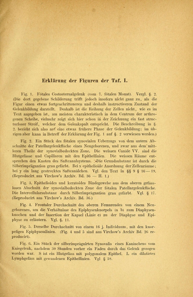Erkläruiia: der Figuren der Taf. I. Fig. 1. Fötales Costosternalgelenk (vom 7. fötalen Monat). Vergl. §. 2. (Die dort gegebene Schilderung trifft jedoch insofern nicht ganz zu, als die Figur einen etwas fortgeschritteneren und deshalb instructiveren Zustand der GelenkbUdung darstellt. Deshalb ist die Reihung der Zellen nicht, wie es im Text angegeben ist, am meisten charakteristisch in dem Centrum der arthro- genen Scheibe, vielmehr zeigt sich hier schon in der Zeichnung ein fast struc- turloser Streif, welcher dem Gelenkspalt entspricht. Die Beschreibung in §. 2. bezieht sich also auf eine etwas frühere Phase der Gelenkbildung; im üb- rigen aber kann in Betreif der Erklärung der Fig. 1 auf §. 2 verwiesen werden.) Fig. 2. Ein Stück des fötalen synovialen Ueberzugs von -dem untern Ab- schnitte der Patellargelenkfläche eines Neugeborenen, und zwar aus dem'mitt- leren Theile der synovialbedeckten Zone. Die weissen Canäle W. sind die Blutgefässe und Capillaren mit den Epithellinien. Die weissen Räume ent- sprechen den Knoten des Saftcanalsystems. «Die Grundsubstanz ist durch die Silberimprägnation grau gefärbt. Bei x epithelioide Anordnung der Zellenräume; bei y ein lang gestrecktes Saftcanälchen. Vgl. den Text in §§ 9 § 16—19. (Reproducirt.aus Virchow's Archiv. Bd. 36 — H. 1.) Fig. 3. Epithelioides und keratoides Bindegewebe aus dem oberen gefäss- losen Abschnitt der synovialbedeckten Zone der fötalen Patellargelenkfläche. Die Intercellularsubstanz durch Silberimprägnation grau gefärbt. Vgl. § 17. (Reproducirt aus Virchow's Archiv. Bd. 36.) Fig. 4. Frontaler Durchschnitt des oberen Femurendes von einem Neu- geborenen, um die Verhältnisse des Epiphysenknorpels (a b) zum Diaphysen- knochen und der Insertion der Kapsel (Linie c) zu der Diaphyse und Epi- physe zu erläutern. Vgl. §.11. Fig. 5. Derselbe Durchschnitt von einem 16 j. Individuum, mit den knor- peligen Epiphysemlinien. (Fig. 4 und 5 sind aus Virchow's Archiv Bd. 26 re- producirt). Fig. 6. Ein Stück der silberimprägnirten Synovalis eines Kaninchens vom Kniegelenk, nachdem 30 Stunden vorher ein Faden durch das Gelenk gezogen worden war. S ist ein Blutgefäss mit polygonalem Epithel. L ein dilatirtes Lymphgefäss mit gewundenen Epithellinien. Vgl § 58.