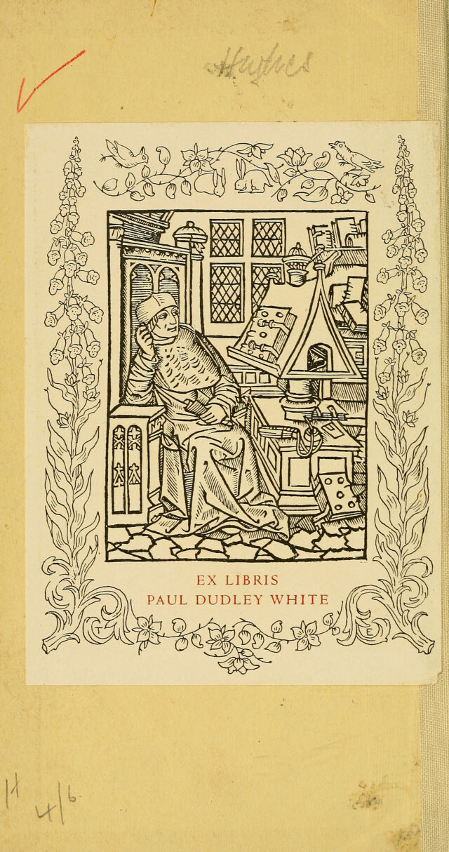 digitised image 2