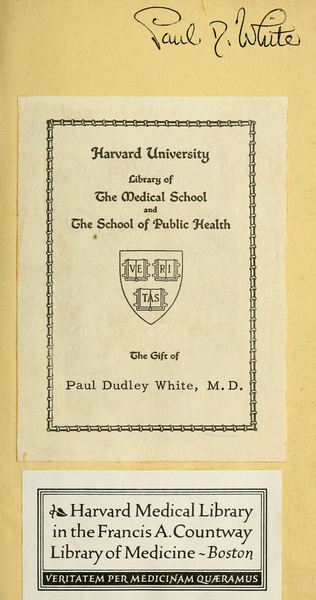 digitised image 3
