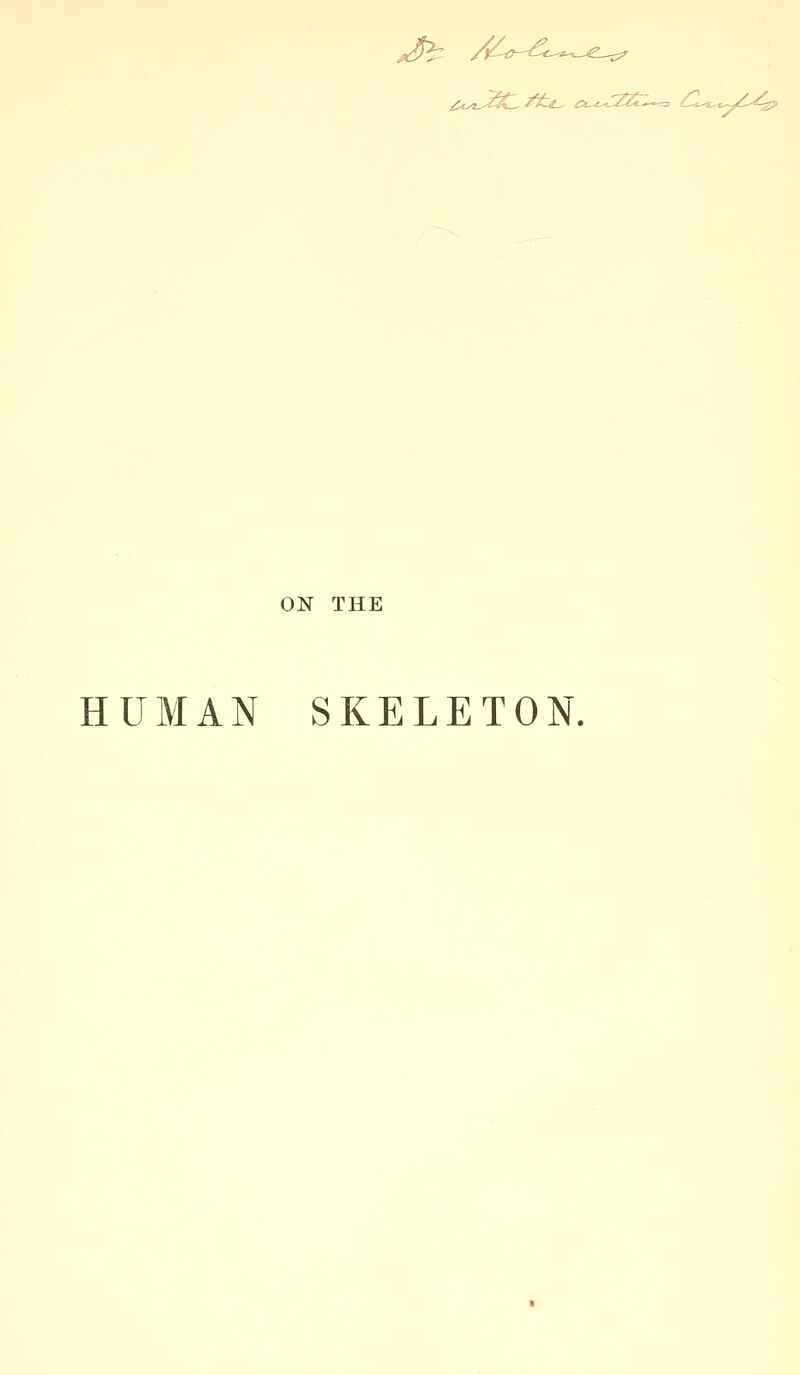 ON THE HUMAN SKELETON.