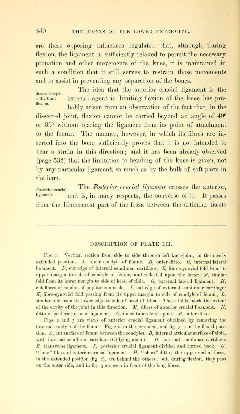 are tliese opposing influences regulated that, although, during flexion, the ligament is sufficiently relaxed to permit the necessary pronation and other movements of the knee, it is maintained in such a condition that it still serves to restrain those movements and to assist in preventing any separation of the bones. The idea that the anterior crucial ligament is the does not espe- _ .... . ciaiiy limit cspccial agent in limiting flexion of the knee has pro- bably arisen from an observation of the fact that, in the dissected joint, flexion cannot be carried beyond an angle of 40'' or 35*^ without tearing the ligament from its point of attachment to the femur. The manner, however, in which its fibres are in- serted into the bone sufficiently proves that it is not intended to bear a strain in this direction; and it has been already observed (page 532) that the limitation to bending of the knee is given, not by any particular ligament, so much as by the bulk of soft parts in the ham. Posterior crucial ^^^^ Posterior crucial ligament crosses the anterior, ligament. ^^^^ jg^ [^ many respects, the converse of it. It passes from the hindermost part of the fossa between the articular facets DESCRIPTION OF PLATE LII. Fig. I. Vertical section from side to side through left knee-joint, in the nearly extended position. A, inner condyle of femur. £, outer ditto. C, internal lateral ligament. D, cut edge of internal semilunar cartilage ; £, fibro-synovial fold from its upper margin to side of condyle of femur, and reflected upon the latter; F, similar fold from its lower margin to side of head of tibia. G, external lateral ligament. If, cut fibres of tendon of poplitaBus muscle. I, cut edge of external semilunar cartilage; K, fibro-synovial fold passing from its upper margin to side of condyle of femur; L, similar fold from its lower edge to side of head of tibia. These folds mark the extent of the cavity of the joint in this direction. M, fibres of anterior crucial ligament. iV, ditto of posterior crucial ligament. 0, inner tubercle of spine. P, outer ditto. Figs. 2 and 3 are views of anterior crucial ligament obtained by removing the internal condyle of the femur. Fig 2 is in the extended, and fig. 3 is in the flexed posi- tion. ^, cut surface of femur between the condyles. B, internal articular surface of tibia, with internal semilunar cartilage (C) lying upon it. D, external semilunar cartilage. E, transverse ligament. F, posterior crucial ligament divided and turned back. G, long fibres of anterior crucial ligament. IT, short ditto; the upper end of these, in the extended position (fig. 2), are behind the others; but, during flexion, they pass on the outer side, and in fig. 3 are seen in front of the long fibres.