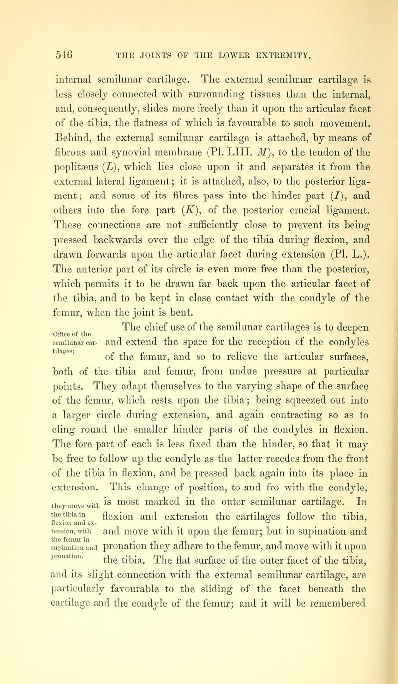 internal semilunar cartilage. The external semilunar cartilage is less closely connected with surrounding tissues than the internal, and, consequently, slides more freely than it upon the articular facet of the tibia, the flatness of which is favourable to such movement. Behind, the external semilunar cartilage is attached, by means of fibrous and synovial membrane (PL LIII. M), to the tendon of the poplitseus (Z), which lies close upon it and separates it from the external lateral ligament; it is attached, also, to the posterior liga- ment; and some of its fibres pass into the liinder part (7), and others into the fore part [K), of the posterior crucial ligament. These connections are not sufficiently close to prevent its being- pressed backwards over the edge of the tibia during flexion, and drawn forwards upon the articular facet during extension (PI. L.). The anterior part of its circle is even more free than the posterior, which permits it to be drawn far back upon the articular facet of the tibia, and to be kept in close contact with the condyle of the femur, when the joint is bent. The chief use of the semilunar cartilages is to deepen Office of the . '^ ■■- semilunar car- and cxtcud the spacc for the reception of the condyles of the femur, and so to relieve the articular surfaces, both of the tibia and femur, from undue pressure at particular points. They adapt themselves to the varying shape of the surface of the femur, which rests upon the tibia; being squeezed out into a larger circle during extension, and again contracting so as to cling round the smaller hinder parts of the condyles in flexion. The fore part of each is less fixed than the hinder, so that it may be free to follow up the condyle as the latter recedes from the front of the tibia in flexion, and be pressed back again into its place in extension. This change of position, to and fro with the condyle, they move with ^^ most marked in the outer semilunar cartilage. In the tibia in flexiou and cxtcnsion the cartilages follow the tibia, flexion and ex- ^ tension, with and movc with it upon the femur; but in supination and the femur in . i /. t • i • supination and pronation they adhere to the temur, and move with it upon pionation. ^j^^ tibia. Tlic flat surface of the outer facet of the tibia, and its slight connection with the external semilunar cartilage, are particularly favourable to the sliding of the facet beneath the cartilage and the condyle of the femur; and it will be remembered