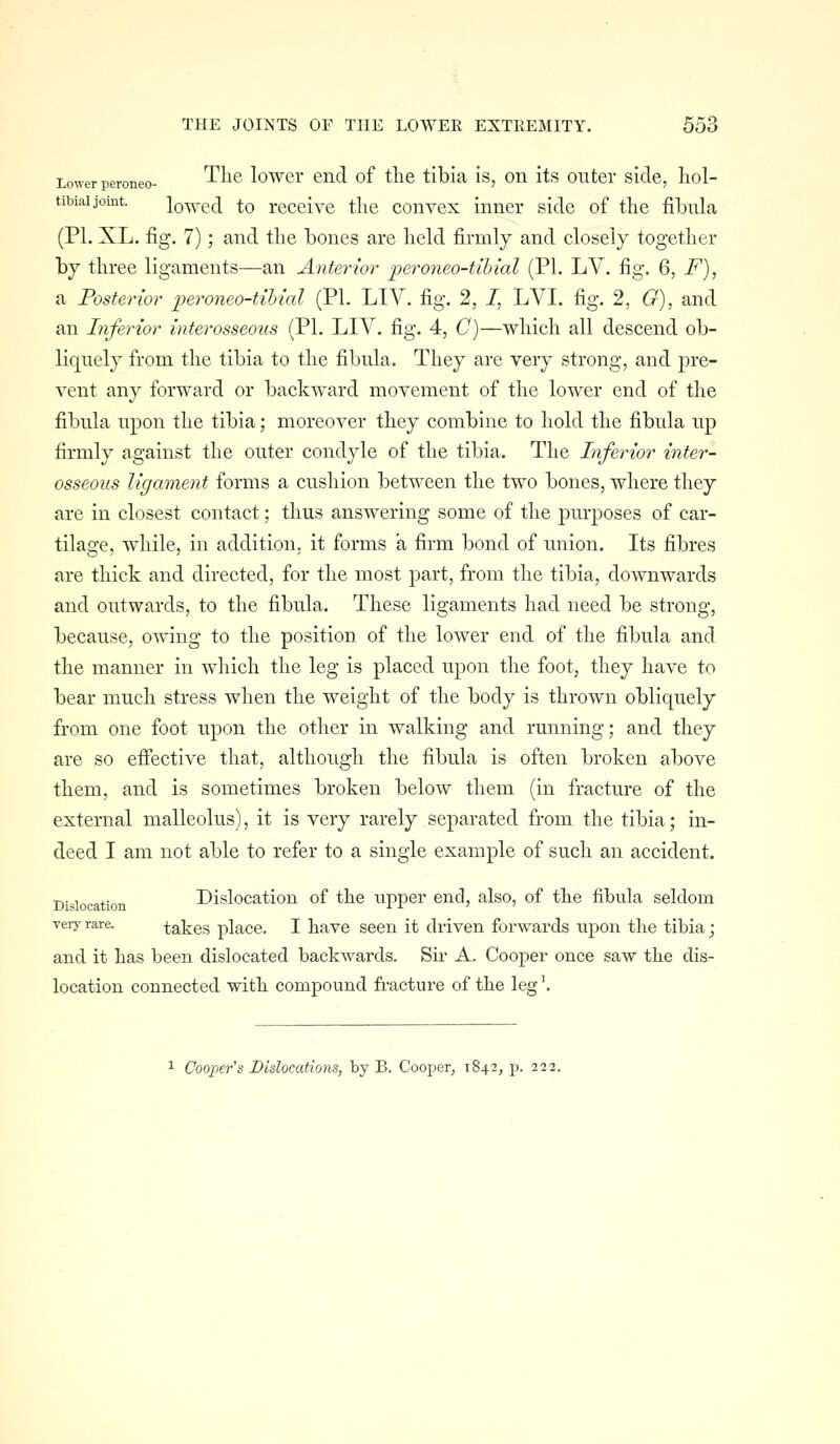 Lower peroneo- ^^^^ lowcr eiid of the tibia is, on its outer side, hol- tibiaijoint. lowed to receive the convex inner side of the fibula (PI. XL. fig. 7); and the bones are held firmly and closely together by three ligaments—an Anterior pei-oneo-tibial (PL LV. fig, 6, F), a Posterior peroneo-tiMal (PI. LIV. fig. 2, /, LVI. fig. 2, G), and an Inferior interosseous (PI. LIV. fig. 4, C)—which all descend ob- liquely from the tibia to the fibula. They are very strong, and pre- vent any forward or backward movement of the lower end of the fibula upon the tibia; moreover they combine to hold the fibula up firmly against the outer condyle of the tibia. The Inferior inter- osseous ligament forms a cushion between the two bones, where they are in closest contact; thus answering some of the purposes of car- tilage, while, in addition, it forms a firm bond of union. Its fibres are thick and directed, for the most part, from the tibia, downwards and outwards, to the fibula. These ligaments had need be strong, because, owing to the position of the lower end of the fibula and the manner in which the leg is placed upon the foot, they have to bear much stress when the weight of the body is thrown obliquely from one foot upon the other in walking and running; and they are so effective that, although the fibula is often broken above them, and is sometimes broken below them (in fracture of the external malleolus), it is very rarely separated from the tibia; in- deed I am not able to refer to a single example of such an accident. Dislocation Dislocation of the iipper end, also, of the fibula seldom very rare. takes place. I have seen it driven forwards upon the tibia; and it has been dislocated backwards. Sh- A. Cooper once saw the dis- location connected with compound fi-acture of the leg ^ Cooper's Dislocations, by B. Cooper, 1842, p. 222.