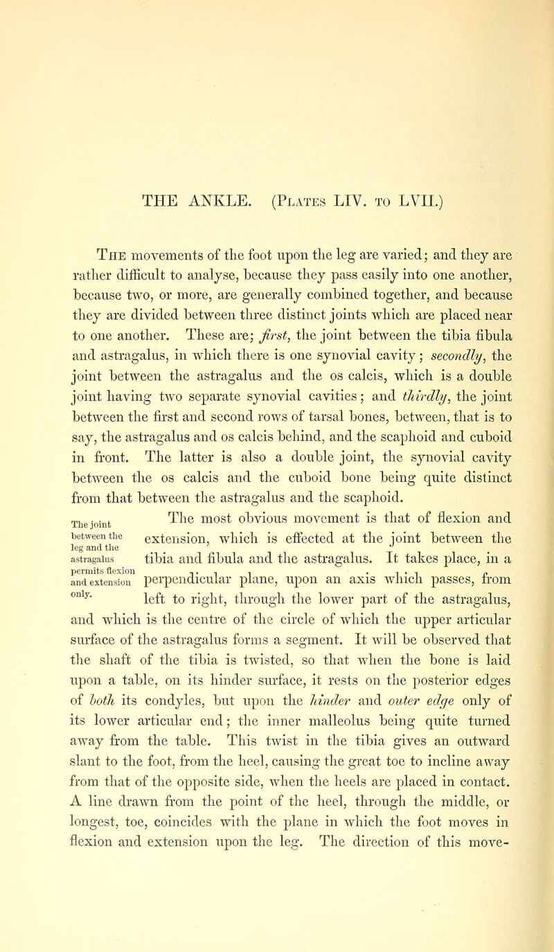 THE ANKLE. (Plates LIV. to LVII.) The movements of the foot upon tlie leg are varied; and they are rather difficult to analyse, because they pass easily into one another, because two, or more, are generally combined together, and because they are divided between three distinct joints which are placed near to one another. These are; first, the joint between the tibia fibula and astragalus, in which there is one synovial cavity; secondly, the joint between the astragalus and the os calcis, which is a double joint having two separate synovial cavities; and thirdly, the joint between the first and second rows of tarsal bones, between, that is to say, the astragalus and os calcis behind, and the scajihoid and cuboid in front. The latter is also a double joint, the synovial cavity between the os calcis and the cuboid bone being quite distinct from that between the astragalus and the scaphoid. The'oinfc ^\\Q most obvious movement is that of flexion and between the extcnsiou, whicli is effected at the ioint between the leg and the . . \ astragahis tibia and fibula and the astragalus. It takes place, in a permits flexion _. ^ . . , . - „ and extension perpendicular plane, upon an axis whicli passes, irom °'^' left to right, through the lower part of the astragalus, and which is the centre of the circle of which the upper articular surface of the astragalus forms a segment. It will be observed that the shaft of the tibia is twisted, so that when the bone is laid upon a table, on its hinder surface, it rests on the posterior edges of both its condyles, but upon the hinder and outer edge only of its lower articular end; the inner malleolus being quite turned away from the table. This twist in the tibia gives an outward slant to the foot, from the heel, causing the great toe to incline away from that of the Oj^posite side, when the heels are placed in contact. A line drawn from the point of the heel, through the middle, or longest, toe, coincides with the plane in which the foot moves in flexion and extension upon the leg. The direction of this move-