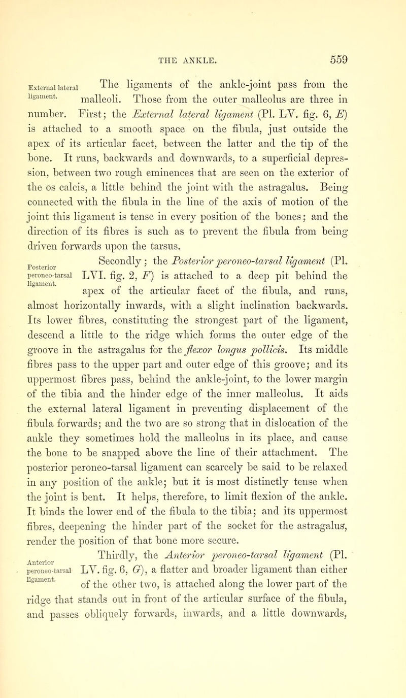 External latenii Tlie ligaments of tlie ankle-joint pass from tlie ligament. malleoli. Tliose from tlie outer malleolus are three in number. First; tlie External lateral ligament (PL LY. fig. 6, E) is attaclied to a smooth space on the fibula, just outside the apex of its articular facet, between the latter and the tip of the bone. It runs, backwards and downwards, to a superficial depres- sion, between two rough eminences that are seen on the exterior of the OS calcis, a little behind the joint with the astragalus. Being connected with the fibula in the line of the axis of motion of the joint this ligament is tense in every position of the bones; and the dii-ection of its fibres is such as to prevent the fibula from being- driven forwards upon the tarsus. Secondly ; the Posterior veroneo-tarsal liqament (PL Posterior . . . peroneo-tarsai LVI. fig. 2, F) is attached to a deep pit behind the ligament. apex of the articular facet of the fibula, and runs, almost horizontally inwards, with a slight inclination backwards. Its lower fibres, constituting the strongest part of the ligament, descend a little to the ridge which forms the outer edge of the groove in the astragalus for the flexor longus jpollicis. Its middle fibres pass to the upper part and outer edge of this groove; and its uppermost fibres pass, behind the ankle-joint, to the lower margin of the tibia and the hinder edge of the inner malleolus. It aids the external lateral ligament in preventing displacement of the fibula forwards; and the two are so strong that in dislocation of the ankle they sometimes hold the malleolus in its place, and cause the bone to be snapped above the line of their attachment. The posterior peroneo-tarsai ligament can scarcely be said to be relaxed in any position of the ankle; but it is most distinctly tense when the joint is bent. It helps, therefore, to limit flexion of the ankle. It binds the lower end of the fibula to the tibia; and its uppermost fibres, deepening the hinder part of the socket for the astragalus, render the position of that bone more secure. Thirdly, the Anterior peroneo-tarsai ligament (PL Anterior %-a n i i t t peroneo-tarsai LV. fig. 6, 6^), a flatter and broader ligament than either gamen. ^^ ^^ othcr two, is attached along the lower part of the ridffe that stands out in front of the articular surface of the fibula, and passes obliquely forwards, inwards, and a little downwards,