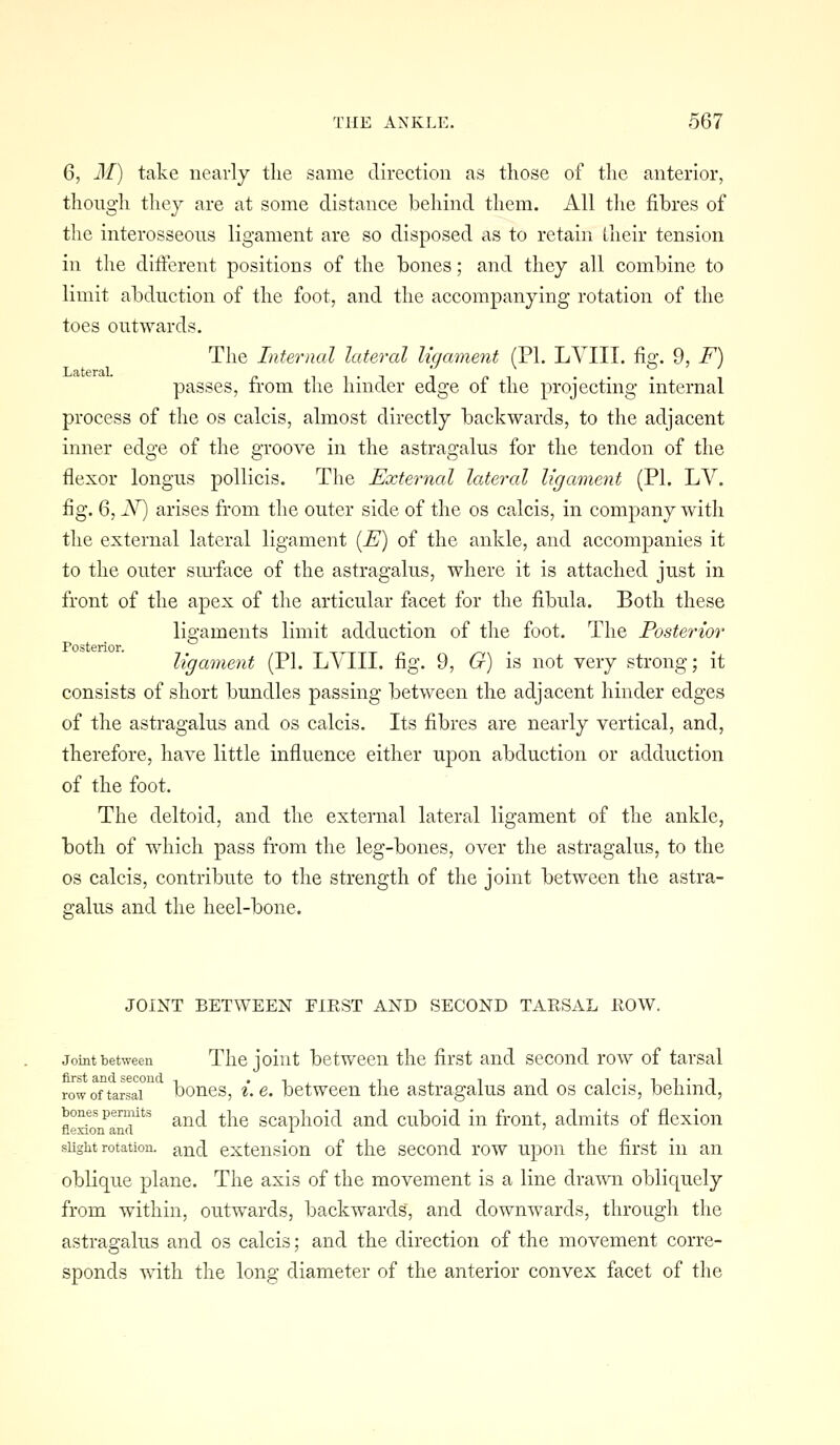 6, M) take nearly the same direction as those of the anterior, though thej are at some distance behind them. All the fibres of the interosseous ligament are so disposed as to retain Iheir tension in the difterent positions of the bones; and they all combine to limit abduction of the foot, and the accompanying rotation of the toes outwards. The Internal lateral ligament (PI. LVIII, fig. 9, F) passes, from the hinder edge of the projecting internal process of the os calcis, almost directly backwards, to the adjacent inner edge of the groove in the astragalus for the tendon of the flexor longus pollicis. The External lateral ligament (PI. LV. fig. 6, N) arises from the outer side of the os calcis, in company with the external lateral ligament [E) of the ankle, and accompanies it to the outer sm-face of the astragalus, where it is attached just in front of the apex of the articular facet for the fibula. Both these ligaments limit adduction of the foot. The Posterior Posterior. ligament (PI. LVIII. fig. 9, G) is not very strong; it consists of short bundles passing between the adjacent hinder edges of the astragalus and os calcis. Its fibres are nearly vertical, and, therefore, have little influence either upon abduction or adduction of the foot. The deltoid, and the external lateral ligament of the ankle, both of which pass from the leg-bones, over the astragalus, to the OS calcis, contribute to the strength of the joint between the astra- galus and the heel-bone. JOINT BETWEEN FIEST AND SECOND TARSAL KOW. Joint between The joiiit betwecii the first and second row of tarsal first and second -, > -i , ,^ , i i i'ii*n row of tarsal boncs, 1.6. between the astragalus and os caicis, benma, bones permits ^^^ ^j^^ scaphoid and cuboid in front, admits of flexion flexion and i ' slight rotation, and extcusion of the second row upon the first in an oblique plane. The axis of the movement is a line drawn obliquely from within, outwards, backwards, and downwards, through the astragalus and os calcis; and the direction of the movement corre- sponds with the long diameter of the anterior convex facet of the