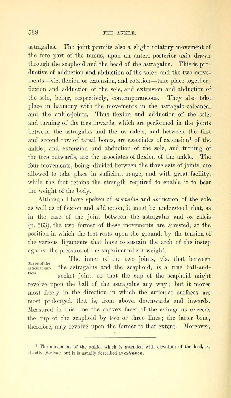 astragalus. The joint permits also a slight rotatory movement of the fore part of the tarsus, upon an antero-posterior axis drawn through the scaphoid and the head of the astragalus. This is pro- ductive of adduction and abduction of the sole: and the two move- ments—viz. flexion or extension, and rotation—take place together; flexion and adduction of the sole, and extension and abduction of the sole, being, respectively, contemporaneous. They also take place in harmony with the movements in the astragalo-calcaneal and the ankle-joints. Thus flexion and adduction of the sole, and turning of the toes inwards, which are performed in the joints between the astragalus and the os calcis, and between the first and second row of tarsal bones, are associates of extension^ of the ankle; and extension and abduction of the sole, and turning of the toes outwards, are the associates of flexion of the ankle. The four movements, being divided between the three sets of joints, are allowed to take place in sufficient range, and with great facility, while the foot retains the strength required to enable it to bear the weight of the body. Although I have spoken of extension and adduction of the sole as well as of flexion and adduction, it must be understood that, as in the case of the joint between the astragalus and os calcis (p. 563), the two former of these movements are arrested, at the position in which the foot rests upon the ground, by the tension of the various ligaments that have to sustain the arch of the instep against the pressure of the superincumbent weight. The inner of the two joints, viz. that between Shape of the , ., . articular sur- the astragaius and the scaphoid, is a true ball-and- socket joint, so that the cup of the scaphoid might revolve upon the ball of the astragalus any way; but it moves most freely in the direction in which the articular sm-faces are most prolonged, that is, from above, downwards and inwards. Measured in this line the convex facet of the astragalus exceeds the cup of the scaphoid by two or three lines; the latter bone, therefore, may revolve upon the former to that extent. Moreover, ^ The movement of the ankle, which is attended with elevation of the heel, is, strictly, flexion; but it is usually described as extension.