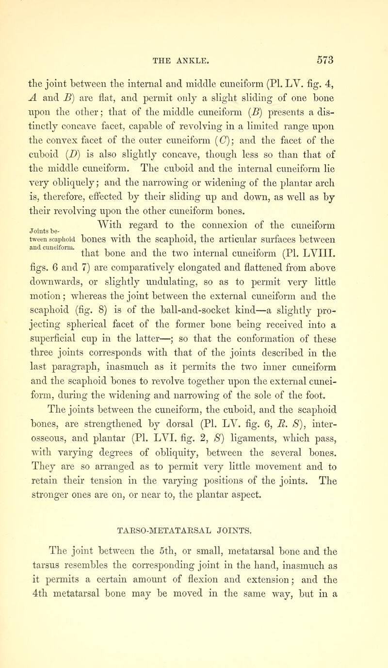 tlie joint between tlie internal and middle cuneiform (PI. LY. fig. 4, A and B) are flat, and permit onlj a slight sliding of one bone upon tlie otlier; tliat of tlie middle cuneiform {B) presents a dis- tinctly concave facet, capable of revolving in a limited range upon tlie convex facet of the outer cuneiform (C); and the facet of the cuboid (D) is also slightly concave, though less so than that of the middle cuneiform. The cuboid and the internal cuneiform lie very obliquely; and the narrowing or widening of the plantar arch is, therefore, effected by their sliding up and down, as well as by their revolving upon the other cuneiform bones. With regard to the connexion of the cuneiform Joints be- ^ tween scaphoid boucs witli tlic scaplioid, tlic articular surfaces between that bone and the two internal cuneiform (PL LYIIL figs. 6 and 7) are comparatively elongated and flattened from above downwards, or slightly undulating, so as to permit very little motion; whereas the joint between the external cuneiform and the scaphoid (fig. 8) is of the ball-and-socket kind—a slightly pro- jecting spherical facet of the former bone being received into a superficial cup in the latter—; so that the conformation of these three joints corresponds with that of the joints described in the last paragraph, inasmuch as it permits the two inner cuneiform and the scaphoid bones to revolve together upon the external cunei- form, dming the widening and narrowing of the sole of the foot. The joints between the cuneiform, the cuboid, and the scaphoid bones, are strengthened by dorsal (PI. LV. fig. 6, B. 8), inter- osseous, and plantar (PL LVI. fig. 2, S) ligaments, which pass, with varying degrees of obliquity, between the several bones. They are so arranged as to permit very little movement and to retain their tension in the varying positions of the joints. The stronger ones are on, or near to, the plantar aspect. TAESO-METATAESAL JOINTS. The joint between the 5th, or small, metatarsal bone and the tarsus resembles the corresponding joint in the hand, inasmuch as it permits a certain amount of flexion and extension; and the 4th metatarsal bone may be moved in the same way, but in a