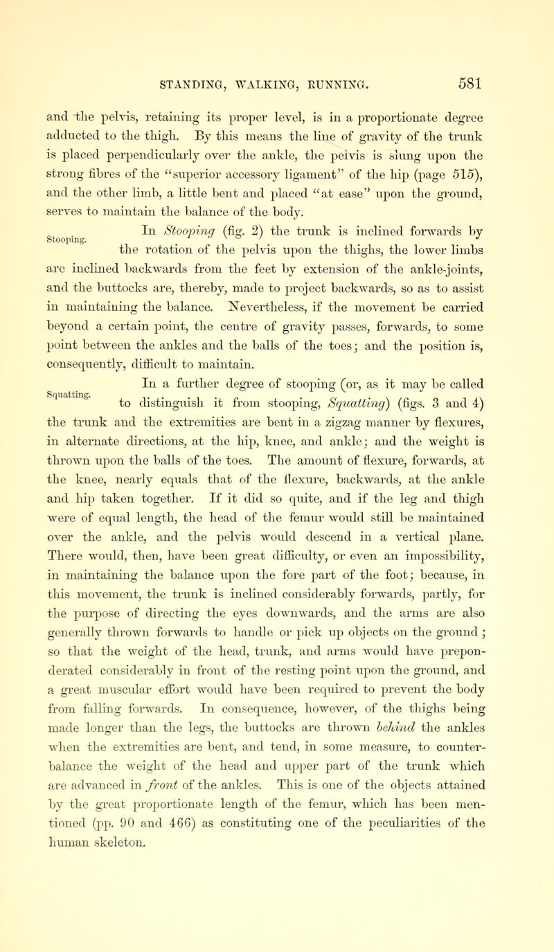 and the pelvis, retaining its propei' level, is in a proportionate degree addiicted to the thigh. By this means the line of gi-avity of the trunk is placed perpendicularly over the ankle, the pelvis is slung upon the strong fibres of the superior accessory ligament of the hip (page 515), and the other limb, a little bent and placed at ease upon the ground, serves to maintain the balance of the body. In Stooping (fig. 2) the trunk is inclined forwards by the rotation of the pelvis upon the thighs, the lower limbs are inclined backwards from the feet by extension of the ankle-joints, and the buttocks are, thereby, made to project backwards, so as to assist in maintaining the balance. Nevertheless, if the movement be carried beyond a certain point, the centre of gravity passes, forwards, to some point between the ankles and the balls of the toes; and the jjosition is, consequently, difficult to maintain. In a further degi'ee of stooping (or, as it may be called to distinguish it from stooping. Squatting) (figs. 3 and 4) the trunk and the extremities are bent in a zigzag manner by flexures, in alternate dii-ections, at the hip, knee, and ankle; and the weight is thrown upon the balls of the toes. The amount of flexure, forwards, at the knee, nearly equals that of the flexure, backwards, at the ankle and hip taken together. If it did so quite, and if the leg and thigh were of equal length, the head of the femur would still be maintained over the ankle, and the pelvis would descend in a vertical plane. There would, then, have been great difficulty, or even an impossibility, in maintaining the balance upon the fore part of the foot; because, in tills movement, the trunk is incKned considerably forwards, partly, for the purpose of directing the eyes downwards, and the arms are also generally thrown forwards to handle or pick ujd objects on the ground; so that the weight of the head, trunk, and arms would have prepon- derated considerably in front of tbe resting point upon the ground, and a great muscular efibrt would have been required to prevent the body from falling foi'wards. In consequence, however, of the thighs being made longer than the legs, the buttocks are thrown behind the ankles Avhen the extremities are bent, and tend, in some measure, to counter- balance the weight of the head and upper part of the trunk which are advanced m. front of the ankles. This is one of the objects attained by the great proportionate length of the femur, which has been men- tioned (pp. 90 and 466) as constituting one of the peculiarities of the human skeleton.