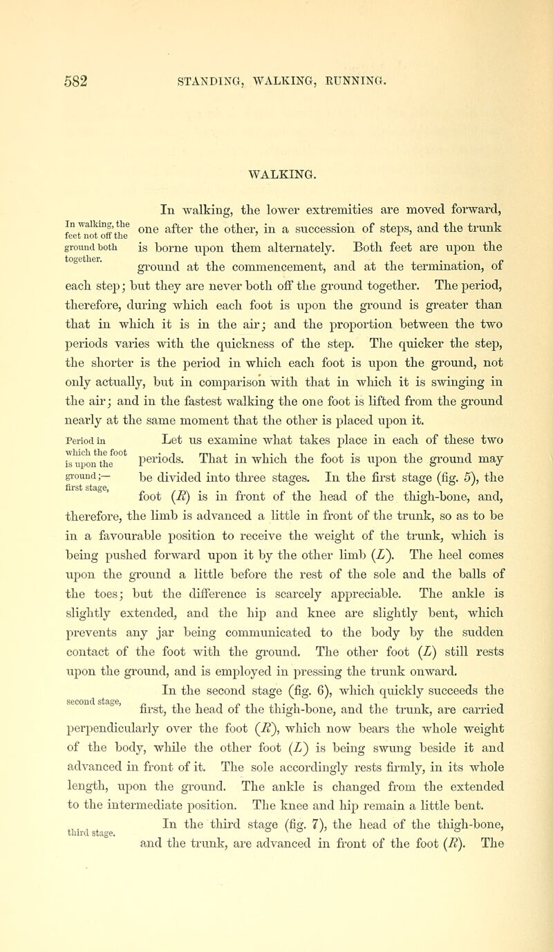 WALKING. In walking, the lower extremities are moved forward, In walking the ^^^ ^^^^j, ^-^^ other, in a succession of steps, and the trunk feet not off the ' •■ ground both is Tborne upon them alternately. Both feet are upon the ground at the commencement, and at the termination, of each step; but they are never both off the ground together. The period, therefore, during which each foot is upon the ground is greater than that in which it is in the air; and the proportion between the two periods varies with the qiiickness of the step. The quicker the step, the shorter is the period in which each foot is ujDon the ground, not only actually, but in comparison with that in which it is swinging in the air; and in the fastest walking the one foot is lifted from the ground nearly at the same moment that the other is placed upon it. Period in Let US examine what takes place in each of these two 7s upon the°° periods. That in which the foot is upon the ground may ground;— i^e divided into three stages. In the first stage (fig. 5), the foot (i?) is in front of the head of the thigh-bone, and, therefore, the limb is advanced a little in front of the trunk, so as to be in a favourable position to receive the weight of the trunk, which is being pushed forward upon it by the other limb (i). The heel comes upon the ground a little before the rest of the sole and the balls of the toes; but the difference is scarcely appreciable. The ankle is slightly extended, and the hip and knee are slightly bent, which prevents any jar being communicated to the body by the sudden contact of the foot with the ground. The other foot (Z) still rests upon the ground, and is employed in pressing the trunk onward. In the second stage (fig. 6), which quickly succeeds the first, the head of the thigh-bone, and the trunk, are carried perpendicularly over the foot (^), which now bears the whole weight of the body, while the other foot (Z) is being swung beside it and advanced in front of it. The sole accordingly rests firmly, in its whole length, upon the gTound. The ankle is changed from the extended to the intermediate position. The knee and hip remain a little bent. In the third staa;e (fiff. 7), the head of the tliisrh-bone, third stage. & V » /' 6 J and the trunk, are advanced in front of the foot (B). The