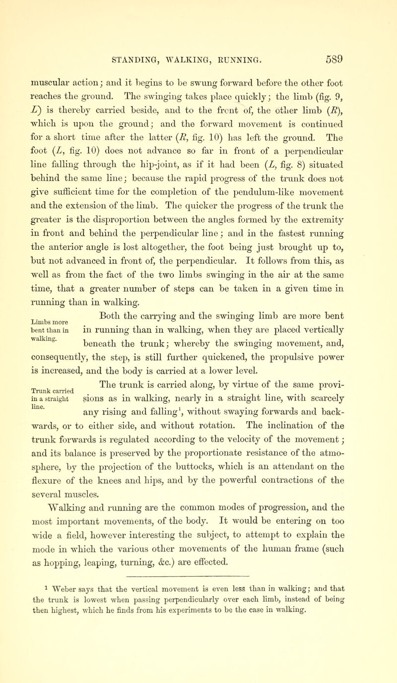 muscular action; and it liegins to be swung forward before tlie other foot readies tlie ground. The swinging takes place quickly; the limb (fig. 9, i) is thereby carried beside, and to the front of, the other limb (i?), which is upon the ground; and the forwai-d movement is continued for a short time after the latter (E, fig. 10) has left the ground. The foot (Z, fig. 10) does not advance so far in front of a perpendicular line falling through the hip-joint, as if it had been (L, fig. 8) situated behind the same line; because the rapid progress of the trunk does not give sufficient time for the completion of the pendulum-like movement and the extension of the limb. The quicker the progress of the trunk the greater is the disproportion between the angles formed by the extremity in front and behind the perpendicular line; and in the fastest running the anterior angle is lost altogether, the foot being just brought up to, but not advanced in front of, the perpendicular. It follows from this, as well as from the fact of the two limbs swinging in the air at the same time, that a greater number of steps can be taken in a given time in rimning than in walking. Both the carrying and the swingina; limb are more bent Limbs more _ _ . . bent than in in running than in walking, when they are placed vertically ' beneath the trunk; whereby the swinging movement, and, consequently, the step, is still further quickened, the propulsive power is increased, and the body is carried at a lower level. The trunk is cai-ried along, by virtue of the same provi- Trunlc carried _ in a straigiit sions as in Walking, nearly in a straight line, with scarcely any rising and falling', without swaying forwards and back- wards, or to either side, and without rotation. The incHnation of the trunk forwards is regulated according to the velocity of the movement; and its balance is preserved by the proportionate resistance of the atmo- sphere, by the projection of the buttocks, which is an attendant on the flexure of the knees and hips, and by the powerful contractions of the several muscles. Walking and running are the common modes of progression, and the most impoi-tant movements, of the body. It would be entering on too wide a field, however interesting the subject, to attempt to explain the mode in which the various other movements of the liiunan frame (such as hopping, leaping, turning, &c.) are effected. 1 Weber says that the vertical movement is even less than in walking; and that the trunk is lowest when passing perpendicularly over each limb, instead of being then highest, which he finds from his experiments to be the case in walking.