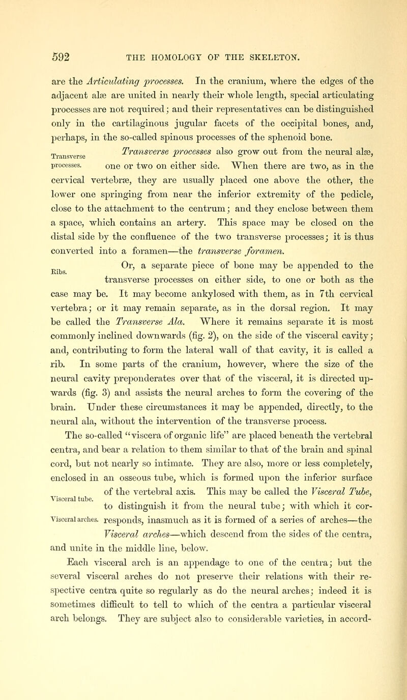are tlie Articulating jyrocesses. In the cranium, where the edges of the adjacent alse are united in nearly their whole length, special articulating processes are not required; and their representatives can be distinguished only in the cartilaginous jugular facets of the occipital bones, and, jjerhaps, in the so-called spinous processes of the sphenoid bone. _, Transverse processes also grow out from the neural alse, processes. one or two on either side. When there are two, as in the cervical vertebrae, they are usually placed one above the other, the lower one springing from near the inferior extremity of the pedicle, close to the attachment to the centrum; and they enclose between them a space, which contains an arteiy. This space may be closed on the distal side by the confluence of the two transverse processes; it is thus converted into a foramen—the transverse foramen. Or, a separate piece of bone may be appended to the transverse processes on either side, to one or both as the case may be. It may become ankylosed with them, as in 7th cervical vertebra; or it may remain sej)arate, as in the dorsal region. It may be called the Transverse Ala. Where it remains separate it is most commonly inclined downwards (fig. 2), on the side of the visceral cavity; and, contributing to form the lateral wall of that cavity, it is called a rib. In some parts of the cranium, however, where the size of the neural cavity preponderates over that of the visceral, it is directed up- wards (fig. 3) and assists the neural arches to form the covering of the brain. Under these circumstances it may be appended, directly, to the neural ala, without the intervention of the transverse process. The so-called viscera of organic life are placed beneath the vertebral centra, and bear a relation to them similar to that of the brain and spinal cord, but not nearly so intimate. They are also, more or less completely, enclosed in an osseous tube, which is formed upon the inferior surface of the vertebral axis. This may be called the Visceral Tube, Visceral tube. to distinguish it from the neural tube; with which it cor- Viscerai arches, responds, inasmuch as it is formed of a series of arches—the Visceral arches—which descend from the sides of the centra, and unite in the middle line, below. Each visceral arch is an appendage to one of the centra; but the several visceral arches do not preserve their relations with their re- spective centra quite so regvilarly as do the neural arches; indeed it is sometimes difficult to tell to which of the centra a particular visceral arch belongs. They are subject also to considerable varieties, in accord-