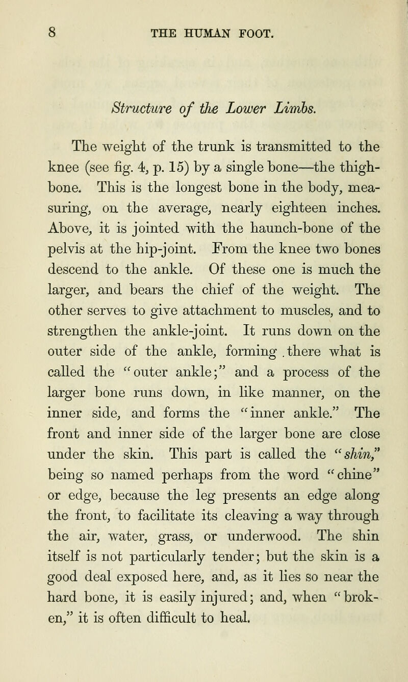 Structure of the Lower Limbs. The weight of the trunk is transmitted to the knee (see fig. 4, p. 15) by a single bone—the thigh- bone. This is the longest bone in the body, mea- suring, on the average, nearly eighteen inches. Above, it is jointed with the haunch-bone of the pelvis at the hip-joint. From the knee two bones descend to the ankle. Of these one is much the larger, and bears the chief of the weight. The other serves to give attachment to muscles, and to strengthen the ankle-joint. It runs down on the outer side of the ankle, forming .there what is called the outer ankle; and a process of the larger bone runs down, in like manner, on the inner side, and forms the inner ankle. The front and inner side of the larger bone are close under the skin. This part is called the ''shin, being so named perhaps from the word chine or edge, because the leg presents an edge along the front, to facilitate its cleaving a way through the air, water, grass, or underwood. The shin itself is not particularly tender; but the skin is a good deal exposed here, and, as it lies so near the hard bone, it is easily injured; and, when brok- en, it is often difficult to heal.