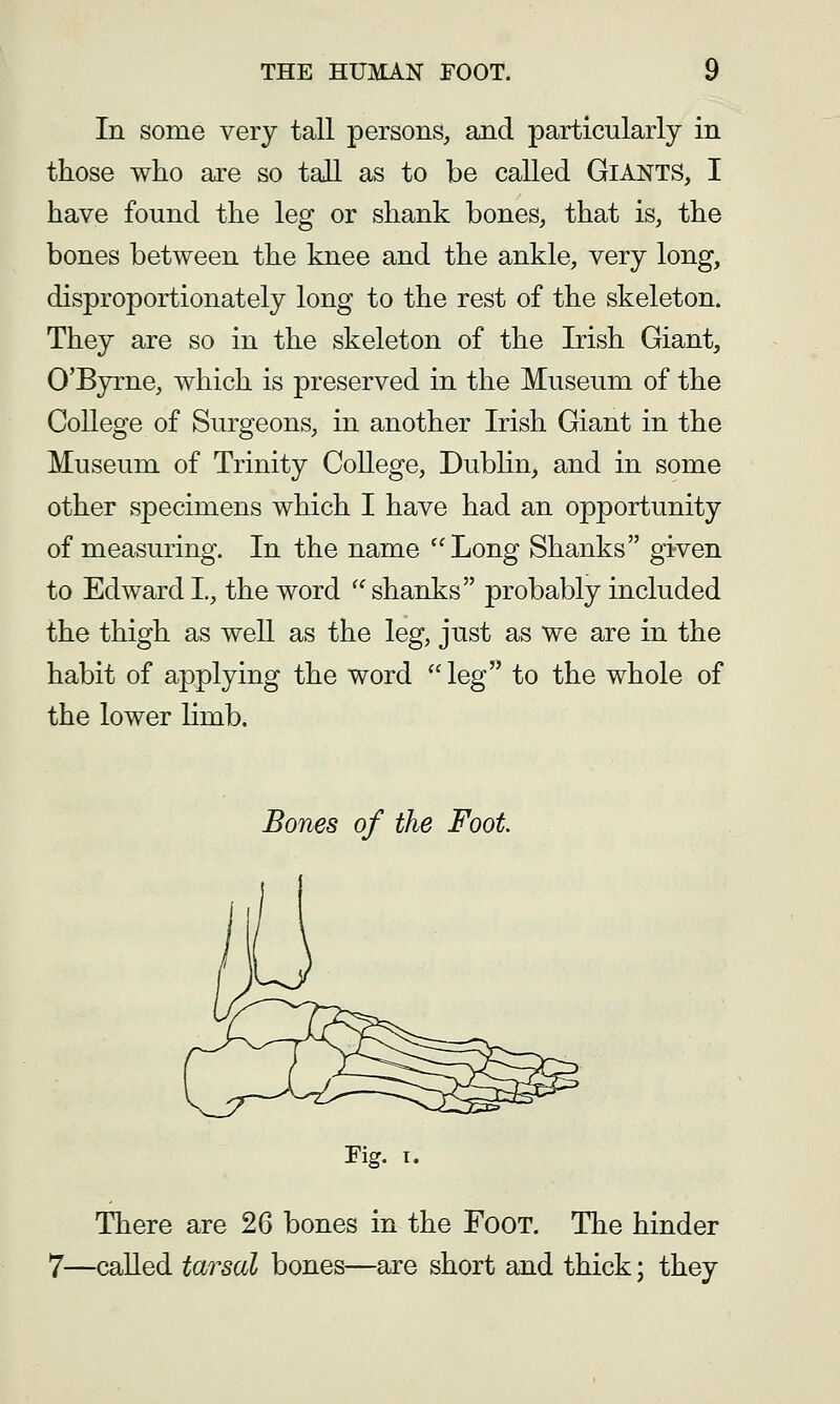 In some very tall persons, and particularly in those who are so tall as to be called Giants, I have found the leg or shank bones, that is, the bones between the knee and the ankle, very long, disproportionately long to the rest of the skeleton. They are so in the skeleton of the Irish Giant, O'Bjrrne, which is preserved in the Museum of the College of Surgeons, in another Irish Giant in the Museum of Trinity College, Dubhn, and in some other specimens which I have had an opportunity of measuring. In the name Long Shanks given to Edward I., the word ^^ shanks probably included the thigh as well as the leg, just as we are in the habit of applying the word leg to the whole of the lower limb. Bones of the Foot Fig. I. There are 26 bones in the Foot. The hinder 7—called tarsal bones—are short and thick; they