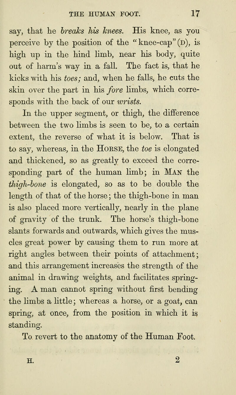 say, that he breaks his knees. His knee, as you perceive by the position of the  knee-cap (d), is high up in the hind limb, near his body, quite out of harm's way in a fall. The fact is, that he kicks with his toes; and, when he falls, he cuts the skin over the part in his fore Hmbs, which corre- sponds with the back of our wrists. In the upper segment, or thigh, the difference between the two limbs is seen to be, to a certain extent, the reverse of what it is below. That is to say, whereas, in the HoRSE, the toe is elongated and thickened, so as greatly to exceed the corre- sponding part of the human limb; in Man the thigh-hone is elongated, so as to be double the length of that of the horse; the thigh-bone in man is also placed more vertically, nearly in the plane of gravity of the trunk. The horse's thigh-bone slants forwards and outwards, which gives the mus- cles great power by causing them to run more at right angles between their points of attachment; and this arrangement increases the strength of the animal in drawing weights, and facilitates spring- ing. A man cannot spring without first bending the limbs a little; whereas a horse, or a goat, can spring, at once, from the position in which it is standing. To. revert to the anatomy of the Human Foot. H.