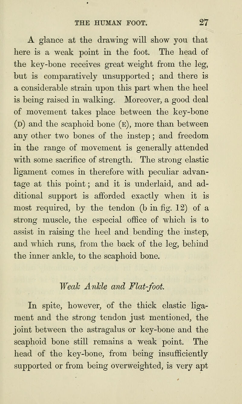 A glance at the drawing will show you that here is a weak point in the foot. The head of the key-bone receives great weight from the leg, but is comparatively unsupported; and there is a considerable strain upon this part when the heel is being raised in walking. Moreover, a good deal of movement takes place between the key-bone (d) and the scaphoid bone (e), more than between any other two bones of the instep; and freedom in the range of movement is generally attended with some sacrifice of strength. The strong elastic ligament comes in therefore with pecuHar advan- tage at this point; and it is underlaid, and ad- ditional support is afforded exactly when it is most required, by the tendon (b in fig. 12) of a strong muscle, the especial ofiice of which is to assist in raising the heel and bending the instep, and which runs, from the back of the leg, behind the inner ankle, to the scaphoid bone. Weak Ankle and Flat-foot. In spite, however, of the thick elastic liga- ment and the strong tendon just mentioned, the joint between the astragalus or key-bone and the scaphoid bone still remains a weak point. The head of the key-bone, from being insufficiently supported or from being overweighted, is very apt