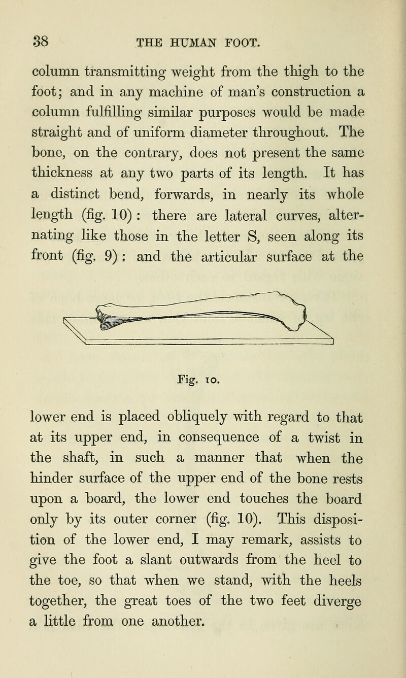 column transmitting weight from the thigh to the foot; and in any machine of man's construction a column fulfilling similar purposes would be made straight and of uniform diameter throughout. The bone, on the contrary, does not present the same thickness at any two parts of its length. It has a distinct bend, forwards, in nearly its whole length (fig. 10) : there are lateral curves, alter- nating like those in the letter S, seen along its front (fig. 9) : and the articular surface at the Fig. TO. lower end is placed obliquely with regard to that at its upper end, in consequence of a twist in the shaft, in such a manner that when the hinder surface of the upper end of the bone rests upon a board, the lower end touches the board only by its outer corner (fig. 10). This disposi- tion of the lower end, I may remark, assists to give the foot a slant outwards from the heel to the toe, so that when we stand, with the heels together, the great toes of the two feet diverge a little from one another.