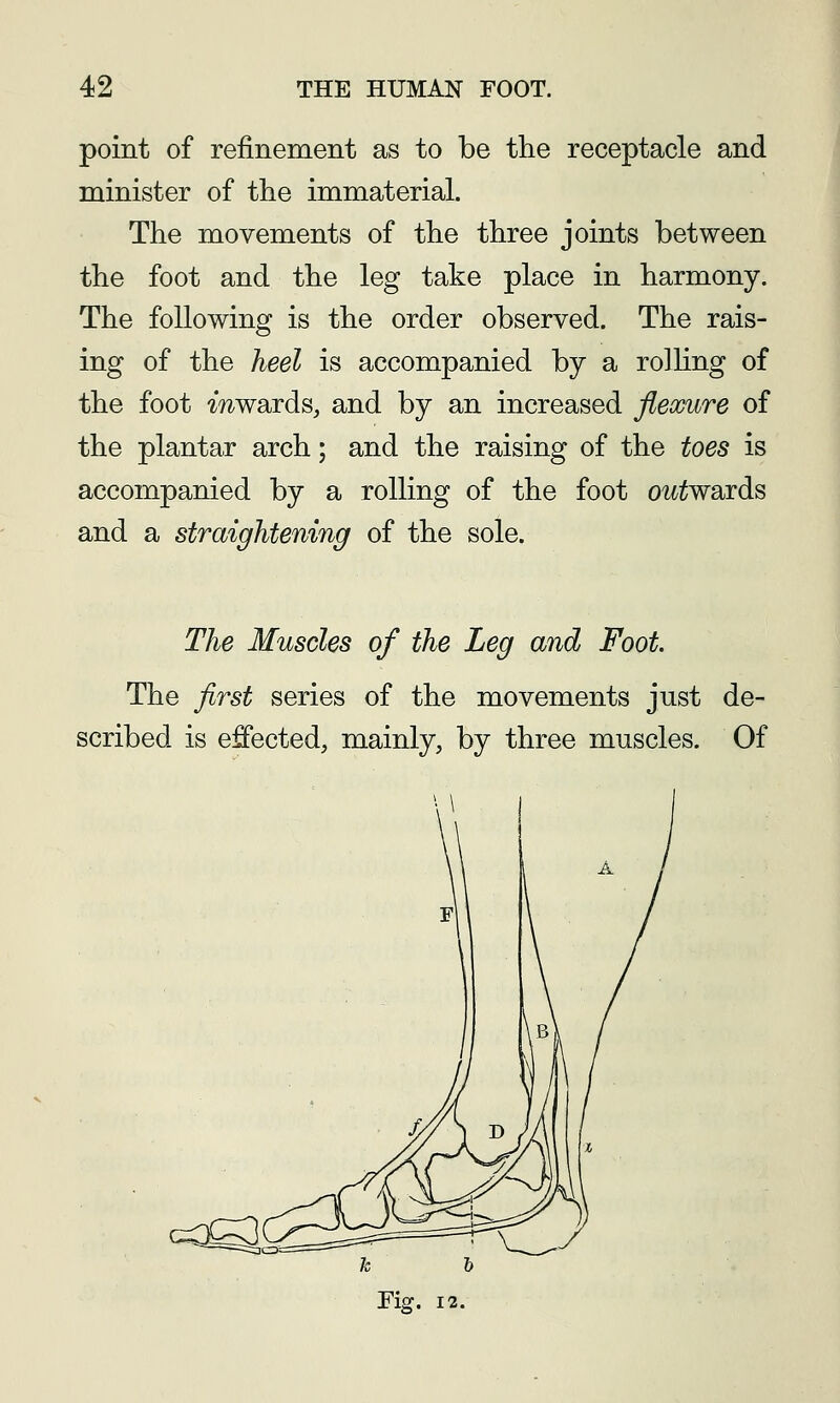 point of refinement as to be the receptacle and minister of the immaterial. The movements of the three joints between the foot and the leg take place in harmony. The following is the order observed. The rais- ing of the heel is accompanied by a rolhng of the foot ^7^wards, and by an increased flexure of the plantar arch; and the raising of the toes is accompanied by a rolling of the foot o^t^wards and a straightening of the sole. The Muscles of the Leg and Foot. The first series of the movements just de- scribed is effected, mainly, by three muscles. Of c^3