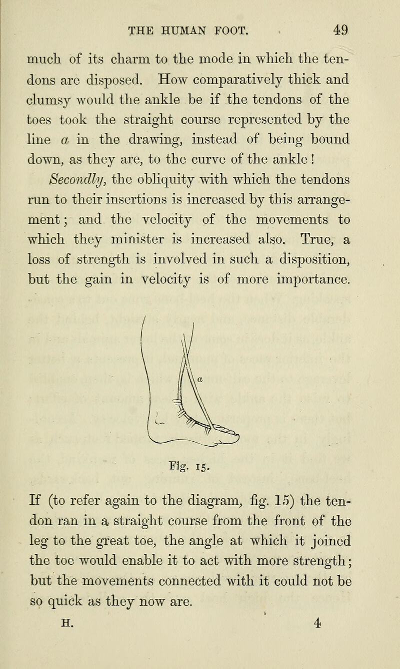 much of its charm to the mode in which the ten- dons are disposed. How comparatively thick and clumsy would the ankle be if the tendons of the toes took the straight course represented by the line a in the drawing, instead of being bound down, as they are, to the curve of the ankle! Secondly, the obliquity with which the tendons run to their insertions is increased by this arrange- ment ; and the velocity of the movements to which they minister is increased also. True, a loss of strength is involved in such a disposition, but the gain in velocity is of more importance. If (to refer again to the diagram, fig. 15) the ten- don ran in a straight course from the front of the leg to the great toe, the angle at which it joined the toe would enable it to act with more strength; but the movements connected with it could not be so quick as they now are. H. 4