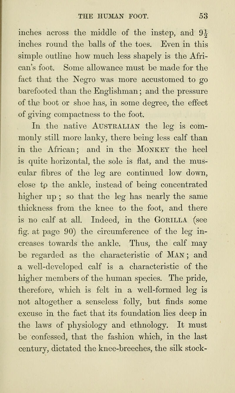 inches across the middle of the instep, and 9^ inches round the balls of the toes. Even in this simple outline how much less shapely is the Afri- can's foot. Some allowance must be made for the fact that the Negro was more accustomed to go barefooted than the Englishman; and the pressure of the boot or shoe has, in some degree, the effect of giving compactness to the foot. In the native AUSTRALIAN the leg is com- monly still more lanky, there being less calf than in the African; and in the Monkey the heel is quite horizontal, the sole is flat, and the mus- cular fibres of the leg are continued low down, close tp the ankle, instead of being concentrated higher up ; so that the leg has nearly the same thickness from the knee to the foot, and there is no calf at all. Indeed, in the Gorilla (see fig. at page 90) the circumference of the leg in- creases towards the ankle. Thus, the calf may be regarded as the characteristic of Man ; and a well-developed calf is a characteristic of the higher members of the human species. The pride, therefore, which is felt in a well-formed leg is not altogether a senseless folly, but finds some excuse in the fact that its foundation hes deep in the laws of physiology and ethnology. It must be confessed, that the fashion which, in the last century, dictated the knee-breeches, the silk stock-