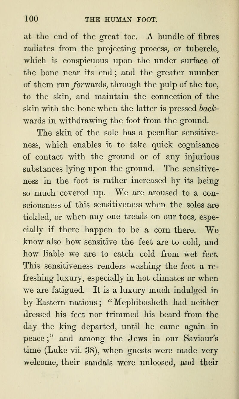 at the end of the great toe. A bundle of fibres radiates from the projecting process, or tubercle, which is conspicuous upon the under surface of the bone near its end; and the greater number of them runybrwards, through the pulp of the toe, to the skin, and maintain the connection of the skin with the bone when the latter is pressed hack- wards in withdrawing the foot from the ground. The skin of the sole has a peculiar sensitive- ness, which enables it to take quick cognisance of contact with the ground or of any injurious substances lying upon the ground. The sensitive- ness in the foot is rather increased by its being so much covered up. We are aroused to a con- sciousness of this sensitiveness when the soles are tickled, or when any one treads on our toes, espe- cially if there happen to be a corn there. We know also how sensitive the feet are to cold, and how liable we are to catch cold from wet feet. This sensitiveness renders washing the feet a re- freshing luxury, especially in hot climates or when we are fatigued. It is a luxury much indulged in by Eastern nations ;  Mephibosheth had neither dressed his feet nor trimmed his beard from the day the king departed, until he came again in peace; and among the Jews in our Saviour's time (Luke vii. 88), when guests were made very welcome, their sandals were unloosed, and their