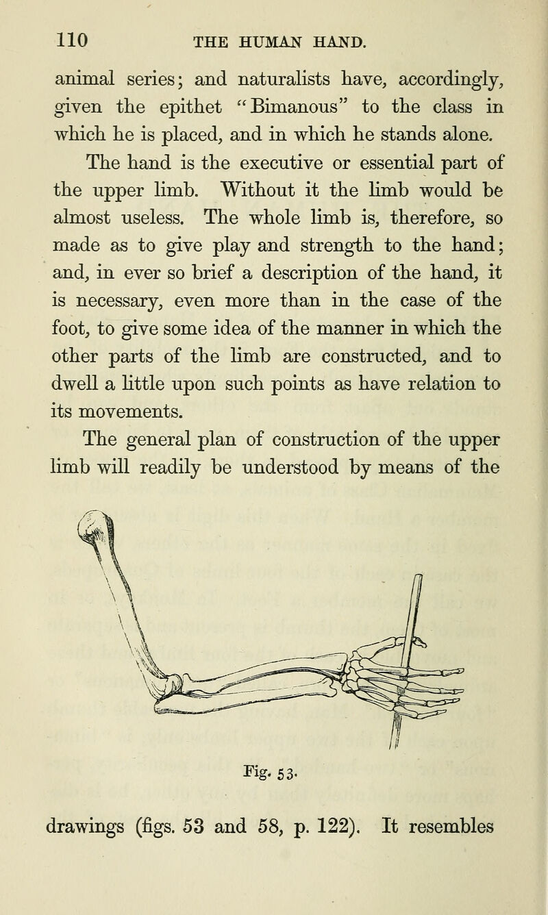 animal series; and naturalists have, accordingly, given the epithet Bimanous to the class in which he is placed, and in which he stands alone. The hand is the executive or essential part of the upper limb. Without it the limb would be almost useless. The whole limb is, therefore, so made as to give play and strength to the hand; and, in ever so brief a description of the hand, it is necessary, even more than in the case of the foot, to give some idea of the manner in which the other parts of the limb are constructed, and to dwell a httle upon such points as have relation to its movements. The general plan of construction of the upper limb will readily be understood by means of the Fig. 53. drawings (figs. 53 and 58, p. 122). It resembles