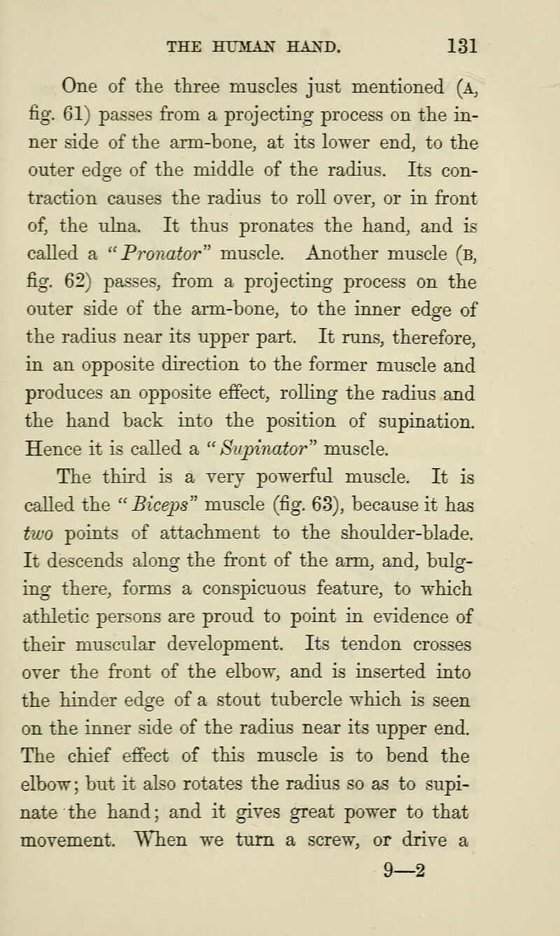 One of the three muscles just mentioned (a, fig. 61) passes from a projecting process on the in- ner side of the arm-bone, at its lower end, to the outer edge of the middle of the radius. Its con- traction causes the radius to roll over, or in front of, the ulna. It thus pronates the hand, and is called a Pronator' muscle. Another muscle (b, fig. 62) passes, from a projecting process on the outer side of the arm-bone, to the inner edge of the radius near its upper part. It runs, therefore, in an opposite direction to the former muscle and produces an opposite effect, roUing the radius and the hand back into the position of supination. Hence it is called a Supinator muscle. The third is a very powerful muscle. It is called the Biceps muscle (fig. 63), because it has two points of attachment to the shoulder-blade. It descends along the front of the arm, and, bulg- ing there, forms a conspicuous feature, to which athletic persons are proud to point in evidence of their muscular development. Its tendon crosses over the front of the elbow, and is inserted into the hinder edge of a stout tubercle which is seen on the inner side of the radius near its upper end. The chief effect of this muscle is to bend the elbow; but it also rotates the radius so as to supi- nate the hand; and it gives great power to that movement. ^Tien we turn a screw, or drive a 9—2