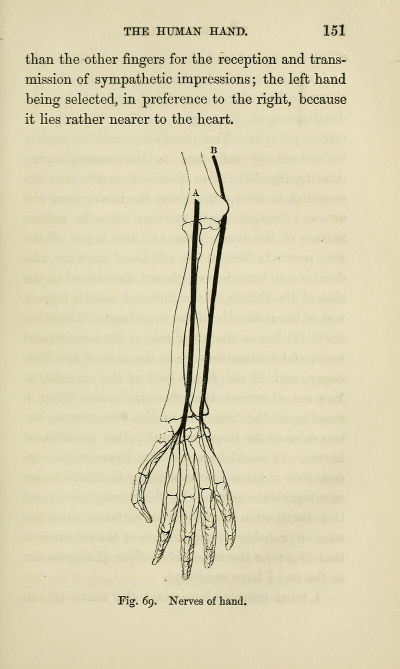 than the other fingers for the reception and trans- mission of sympathetic impressions; the left hand being selected, in preference to the right, because it lies rather nearer to the heart. :a ^ Pig. 69. Nerves of hand.