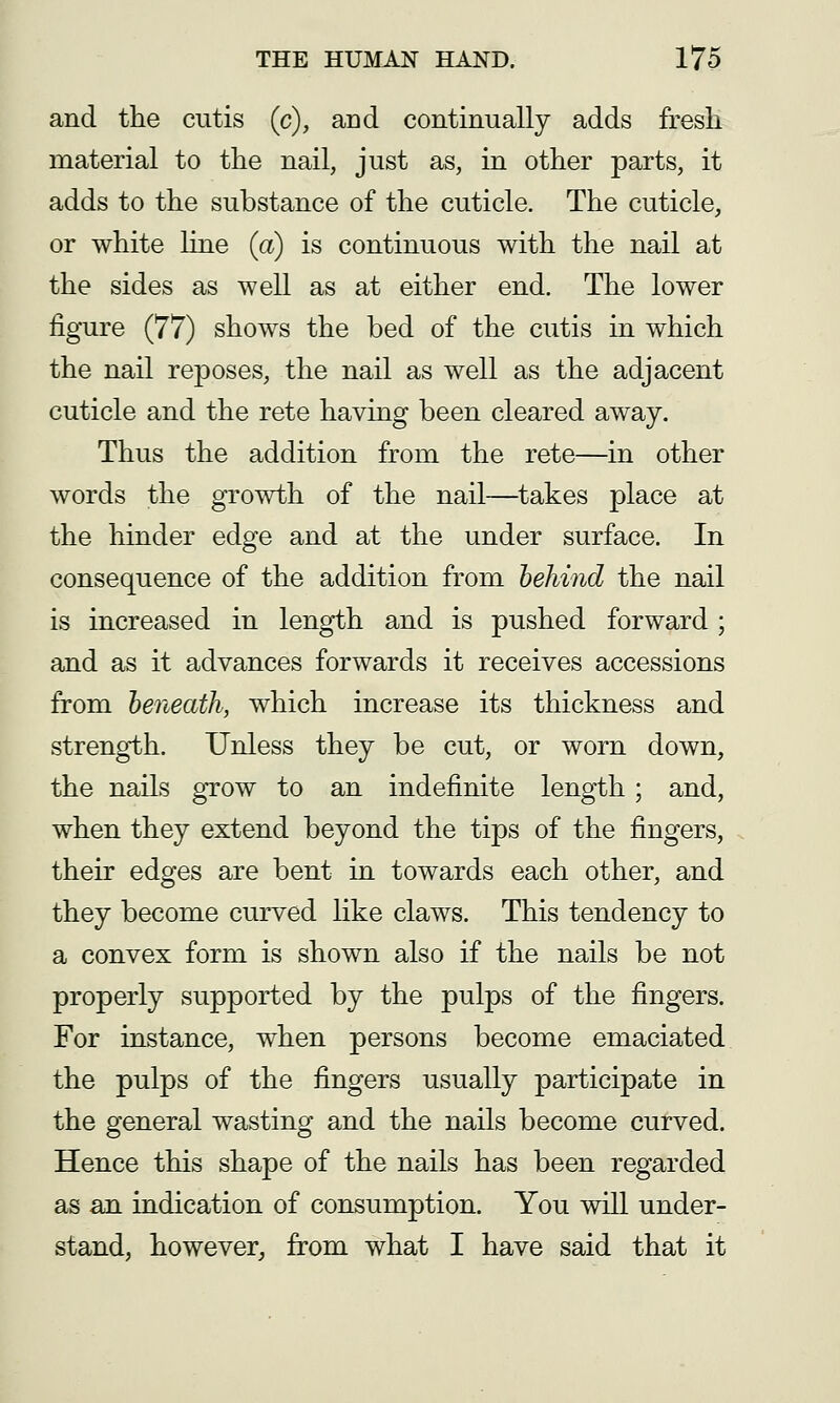 and the cutis (c), and continually adds fresh material to the nail, just as, in other parts, it adds to the substance of the cuticle. The cuticle, or white line (a) is continuous with the nail at the sides as well as at either end. The lower figure (77) shows the bed of the cutis in which the nail reposes, the nail as well as the adjacent cuticle and the rete having been cleared away. Thus the addition from the rete—in other words the growth of the nail—^takes place at the hinder edge and at the under surface. In consequence of the addition from behind the nail is increased in length and is pushed forward ; and as it advances forwards it receives accessions from beneath, which increase its thickness and strength. Unless they be cut, or worn down, the nails grow to an indefinite length; and, when they extend beyond the tips of the fingers, their edges are bent in towards each other, and they become curved like claws. This tendency to a convex form is shown also if the nails be not properly supported by the pulps of the fingers. For instance, when persons become emaciated the pulps of the fingers usually participate in the general wasting and the nails become curved. Hence this shape of the nails has been regarded as an indication of consumption. You will under- stand, however, from what I have said that it