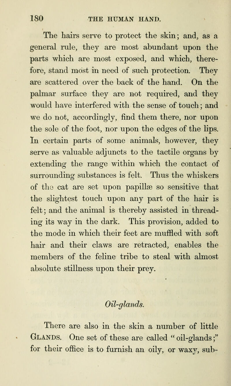 The hairs serve to protect the skin; and, as a general rule, they are most abundant upon the parts which are most exposed, and which, there- fore, stand most in need of such protection. They are scattered over the back of the hand. On the palmar surface they are not required, and they would have interfered with the sense of touch; and we do not, accordingly, find them there, nor upon the sole of the foot, nor upon the edges of the lips. In certain parts of some animals, however, they serve as valuable adjuncts to the tactile organs by extending the range within which the contact of surrounding substances is felt. Thus the whiskers of the cat are set upon papillae so sensitive that the slightest touch upon any part of the hair is felt; and the animal is thereby assisted in thread- ing its way in the dark. This provision, added to the mode in which their feet are muffled with soft hair and their claws are retracted, enables the members of the feline tribe to steal with almost absolute stillness upon their prey. Oil-glands. There are also in the skin a number of little Glands. One set of these are called  oil-glands; for their office is to furnish an oily, or waxy, sub-